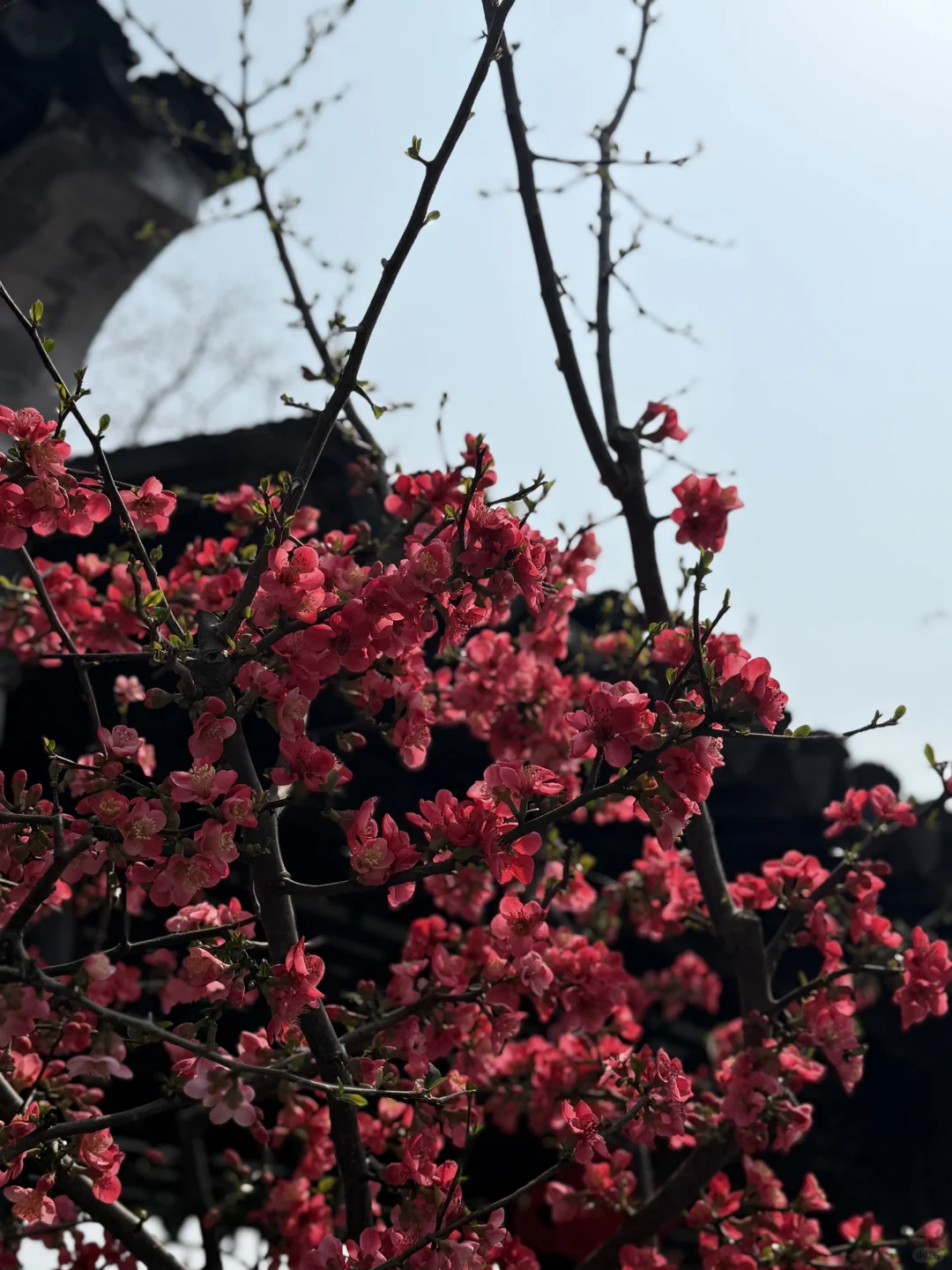 白鹿新剧《北上》取景地❗我先打卡啦