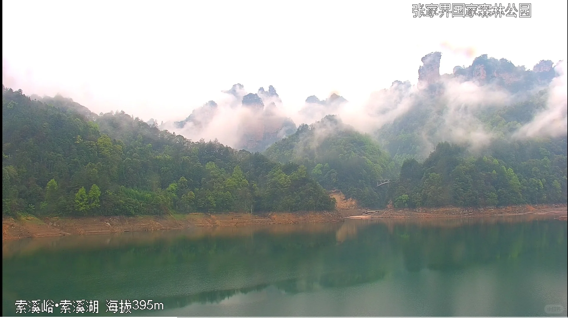 4月4号张家界景区实况