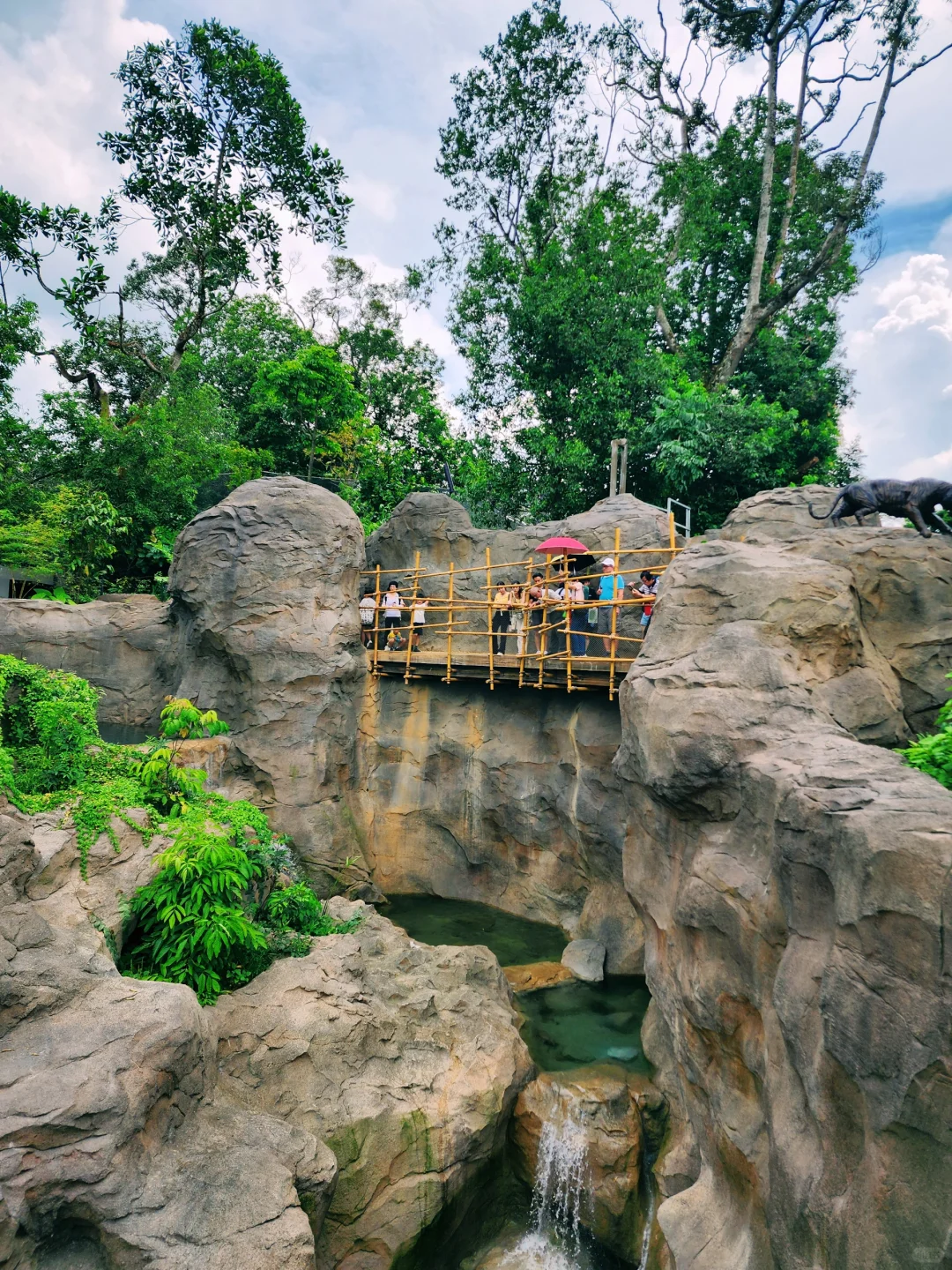 新加坡全新景点｜徒步探险！也太好拍了吧！