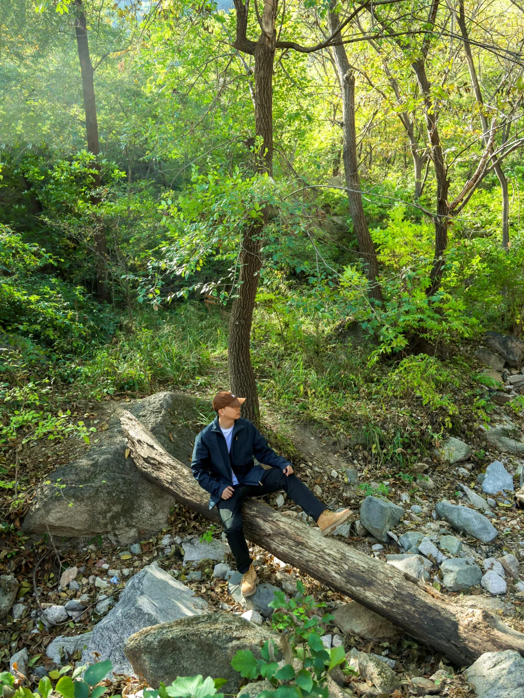 4.1云端步道正式开放❗️清明春游好去处