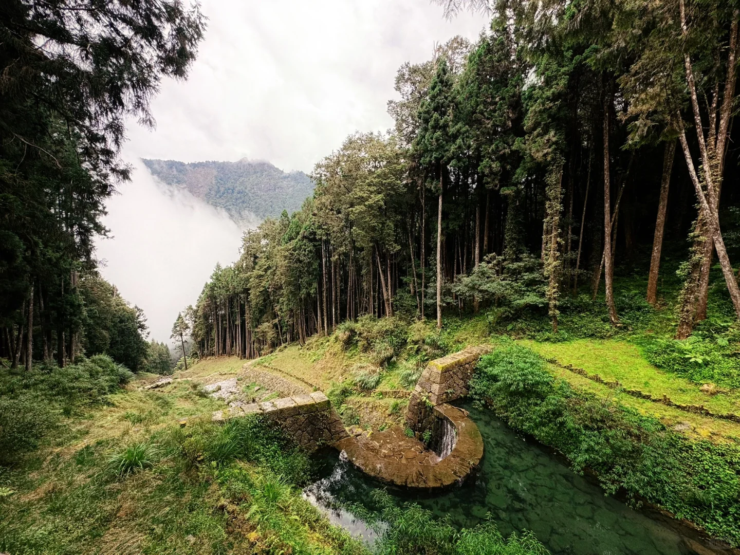 阿里山｜女生独行当日往返｜交通、景点、装备
