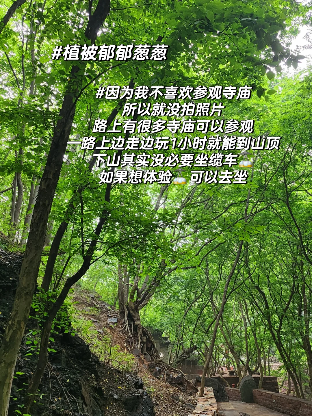 苍岩山一日游攻略 不累体验感棒棒的❗❗❗