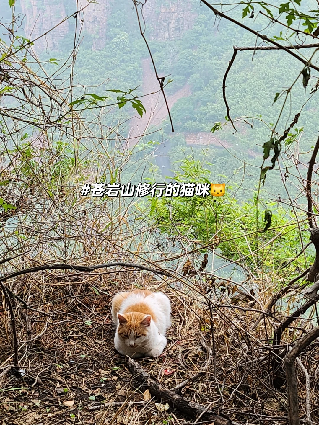 苍岩山一日游攻略 不累体验感棒棒的❗❗❗