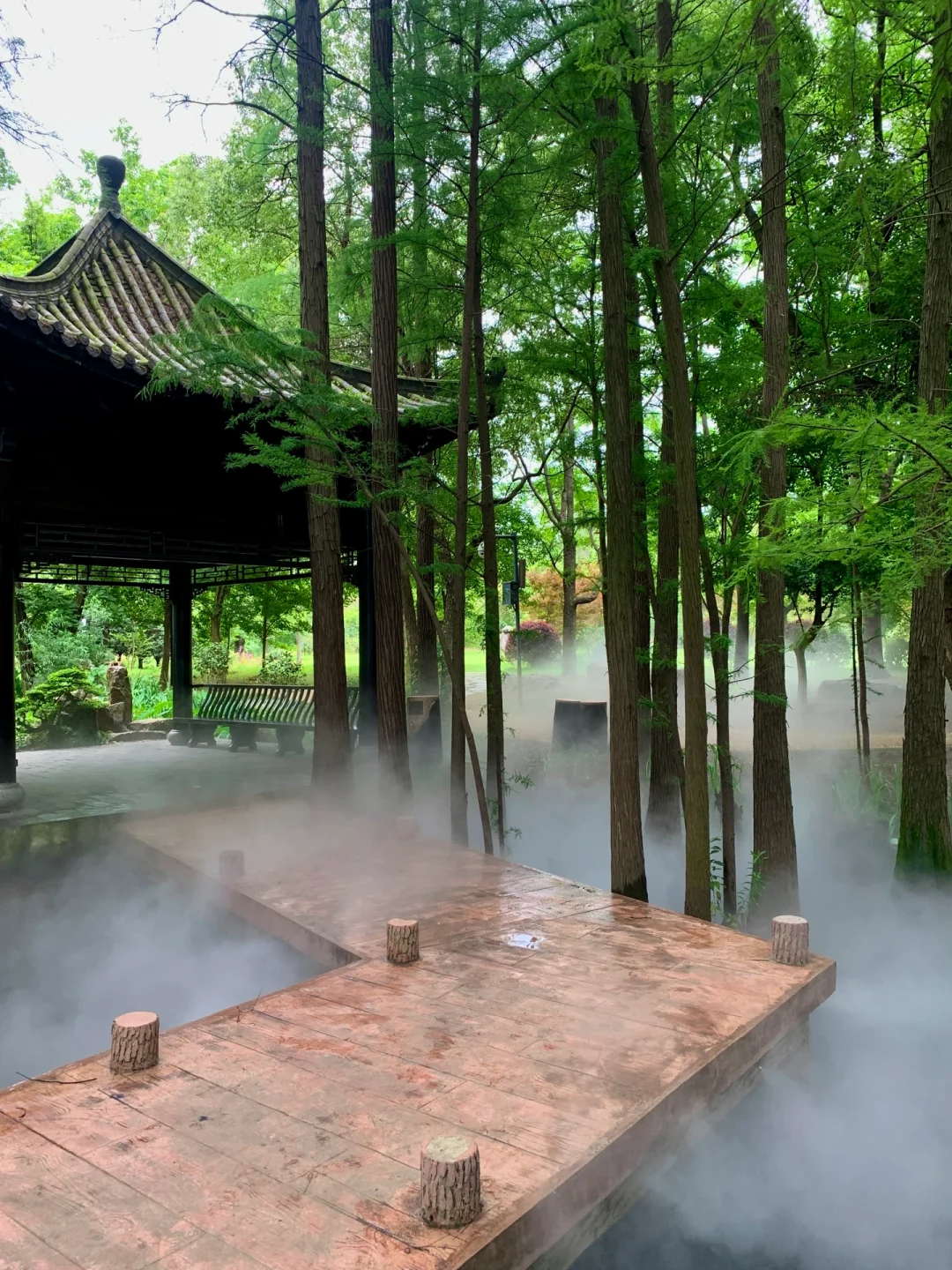 在武汉花的最值的13块钱🌲……