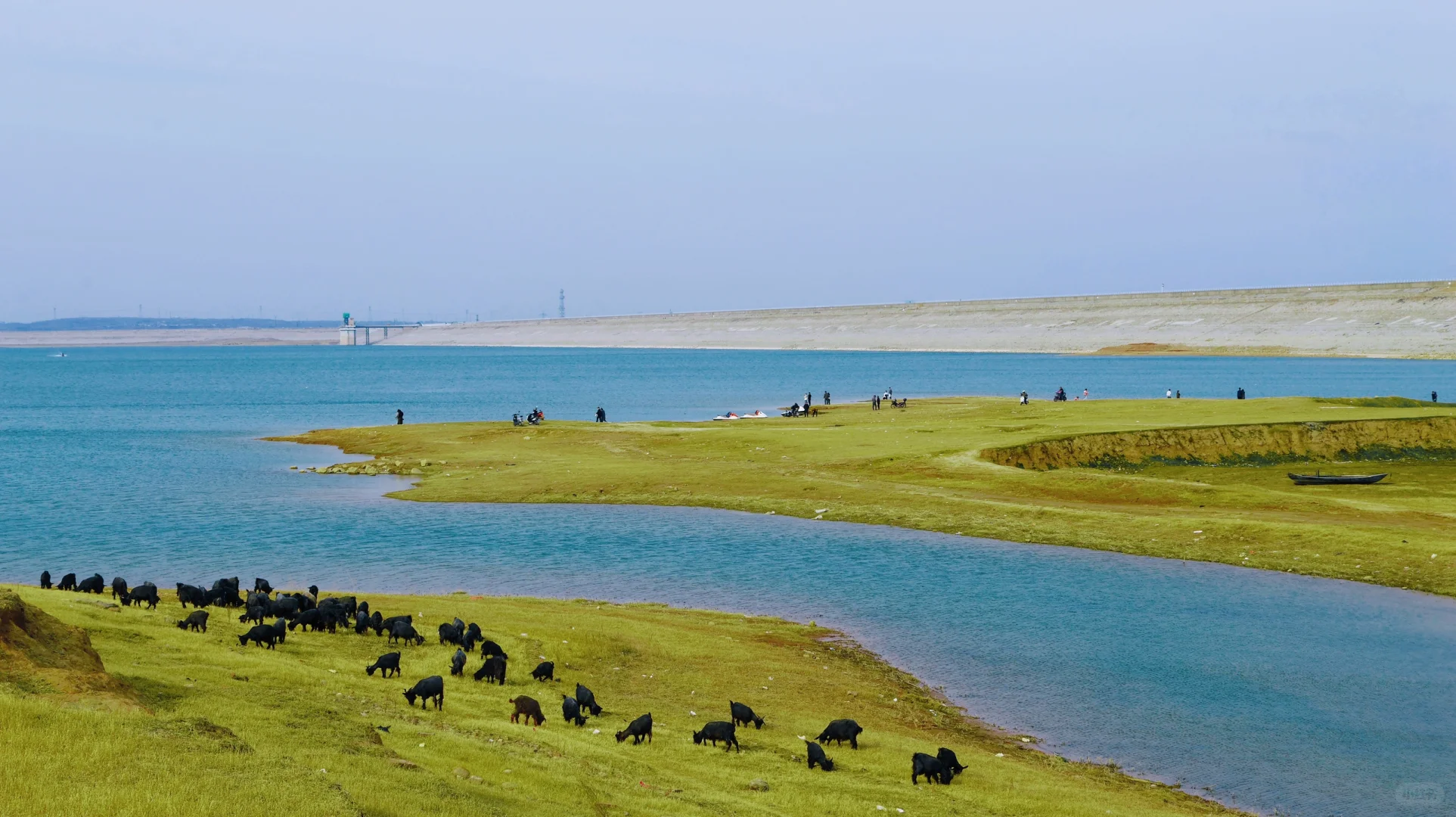 邯郸岳城水库“小洱海”春游露营攻略🌊