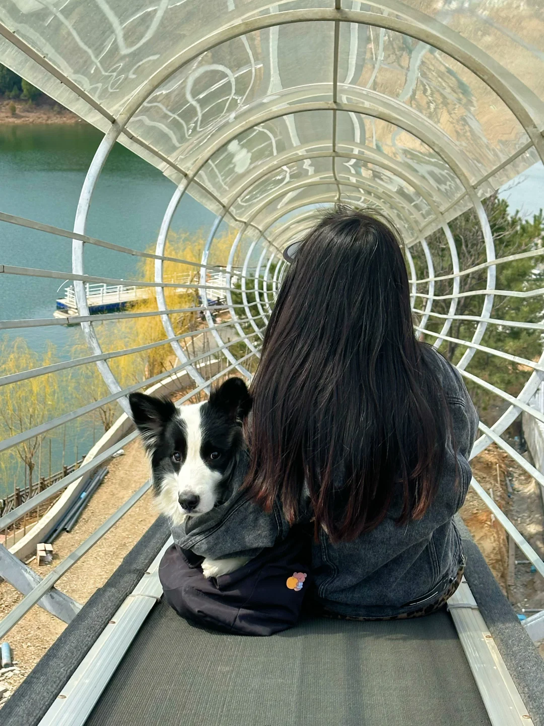 给养狗人疯狂推荐的宠物友好景区