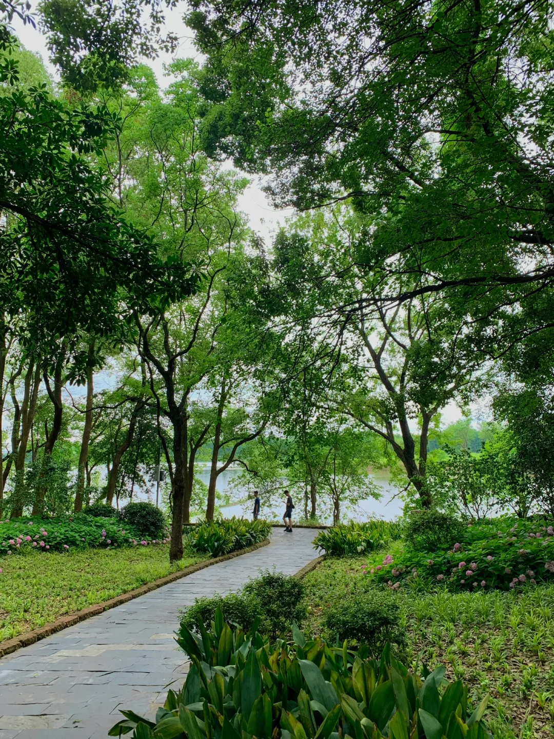 在武汉花的最值的13块钱🌲……