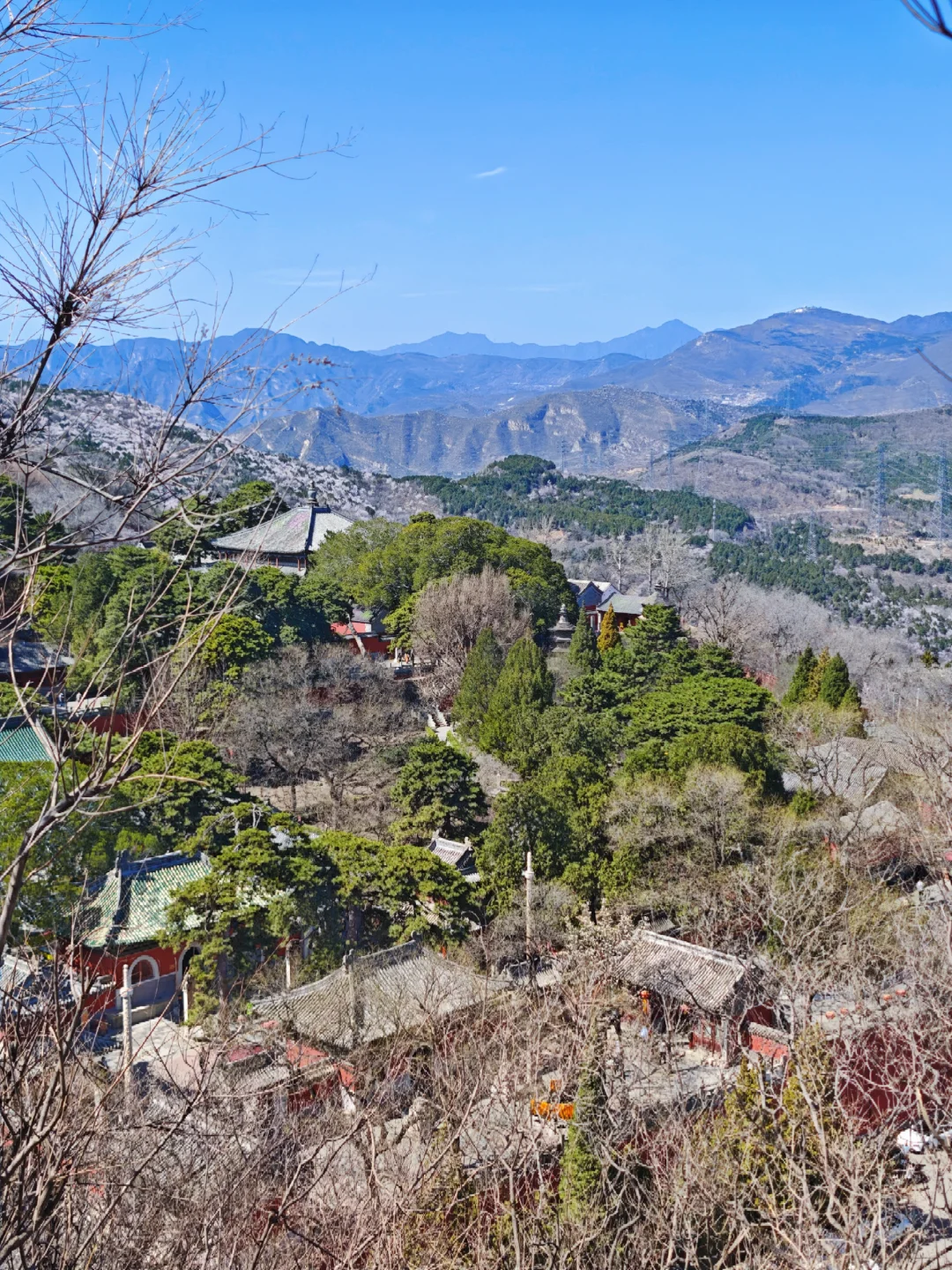 🌸京郊桃花秘境粉色暴击！戒台寺步道