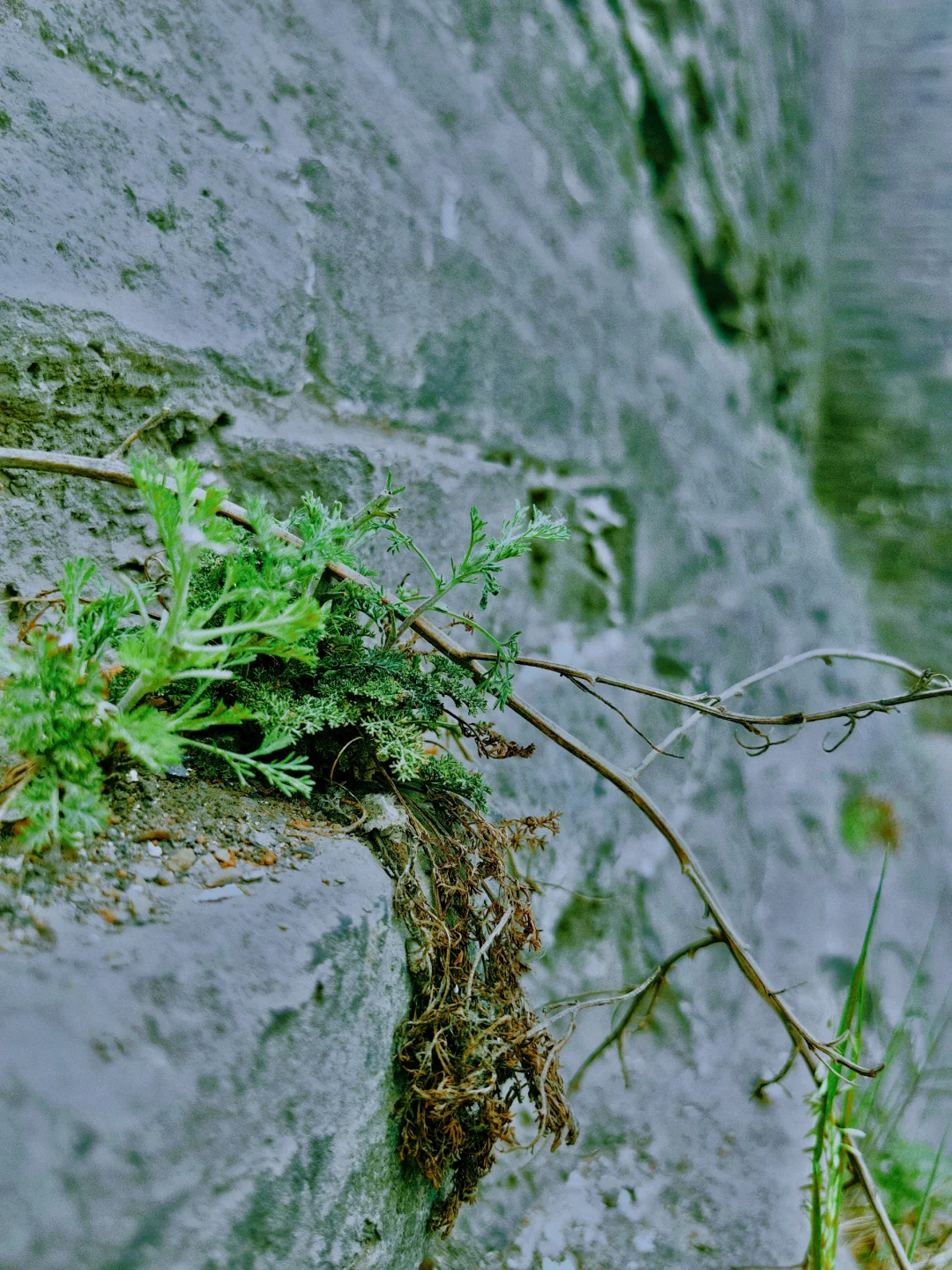 爱上山西古村落（一）——孝义临水村