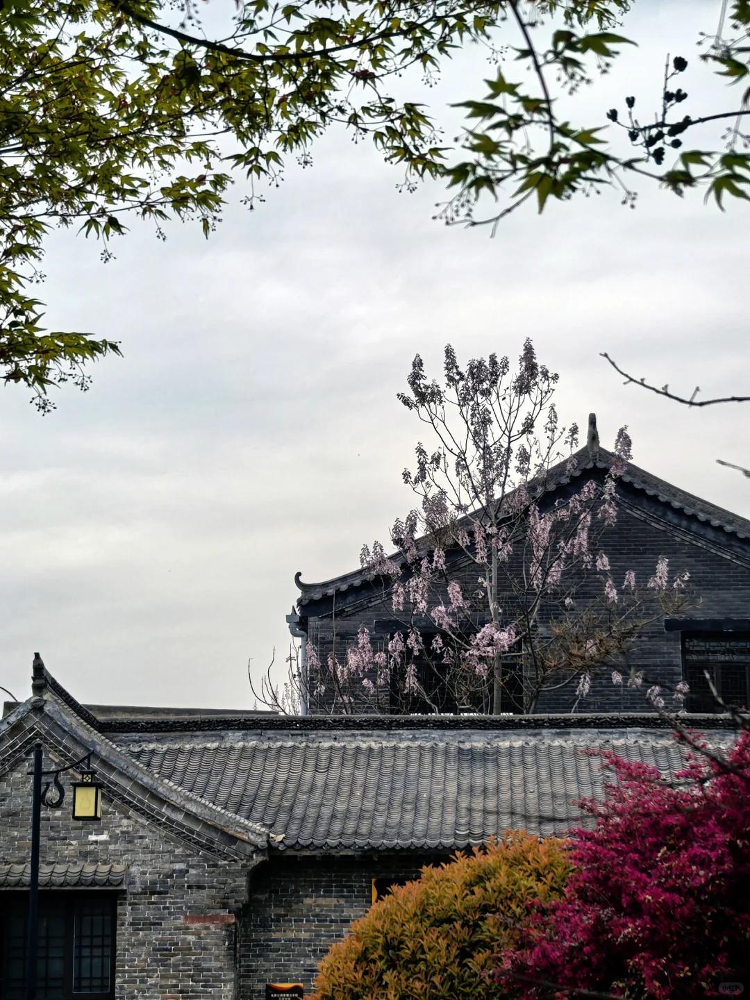 📸在河南禹州神垕老街遇见春日慢时光