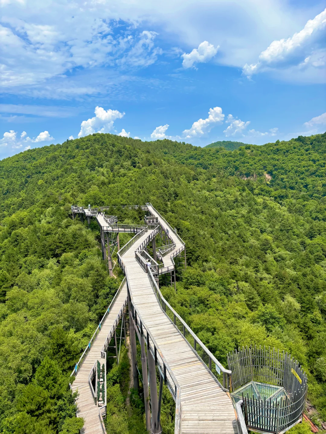 陕西被低估的景区❗丛林过山车🎢森林大滑梯