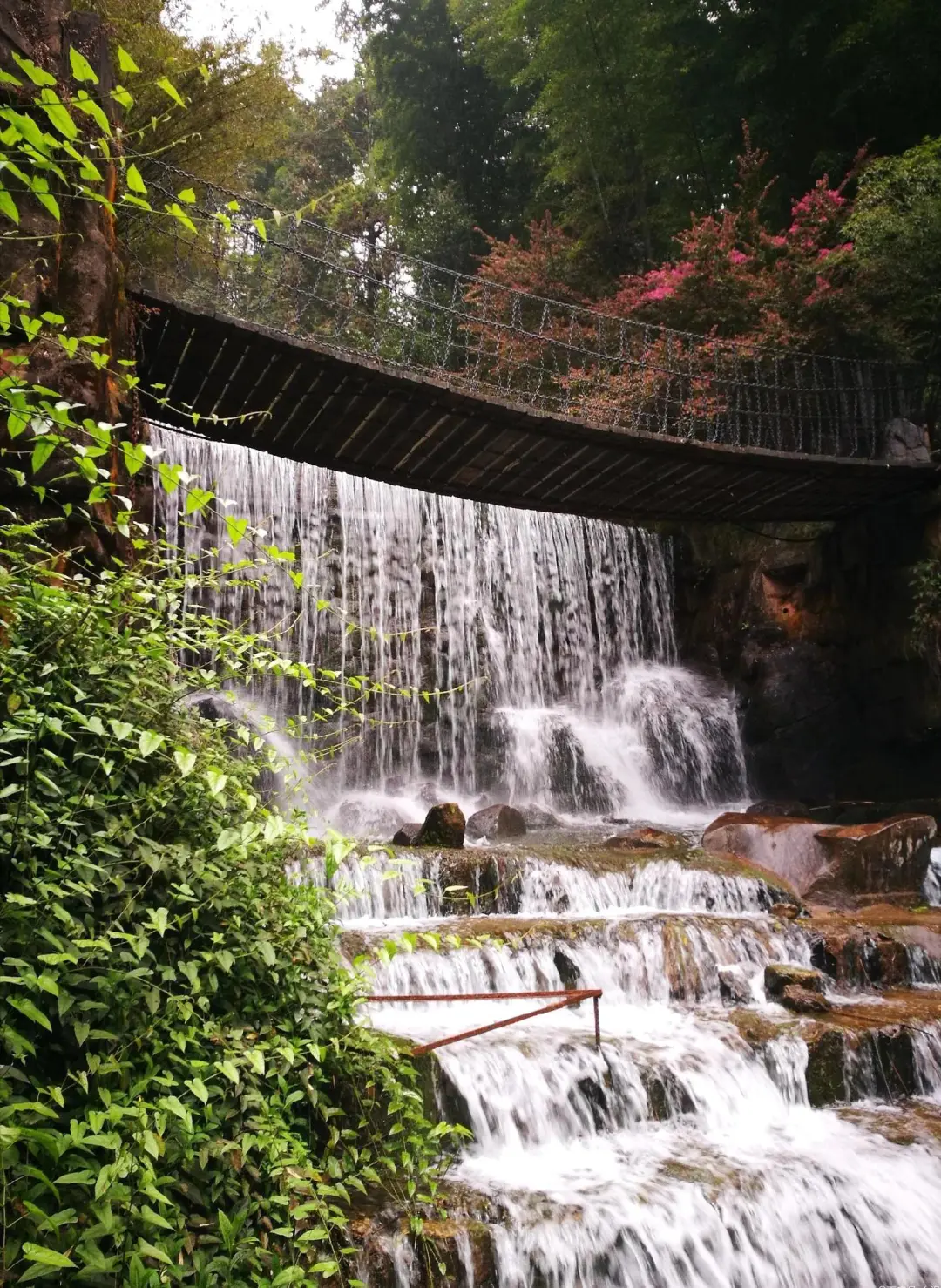 远赴人间惊鸿宴老君山三月踏春全攻略