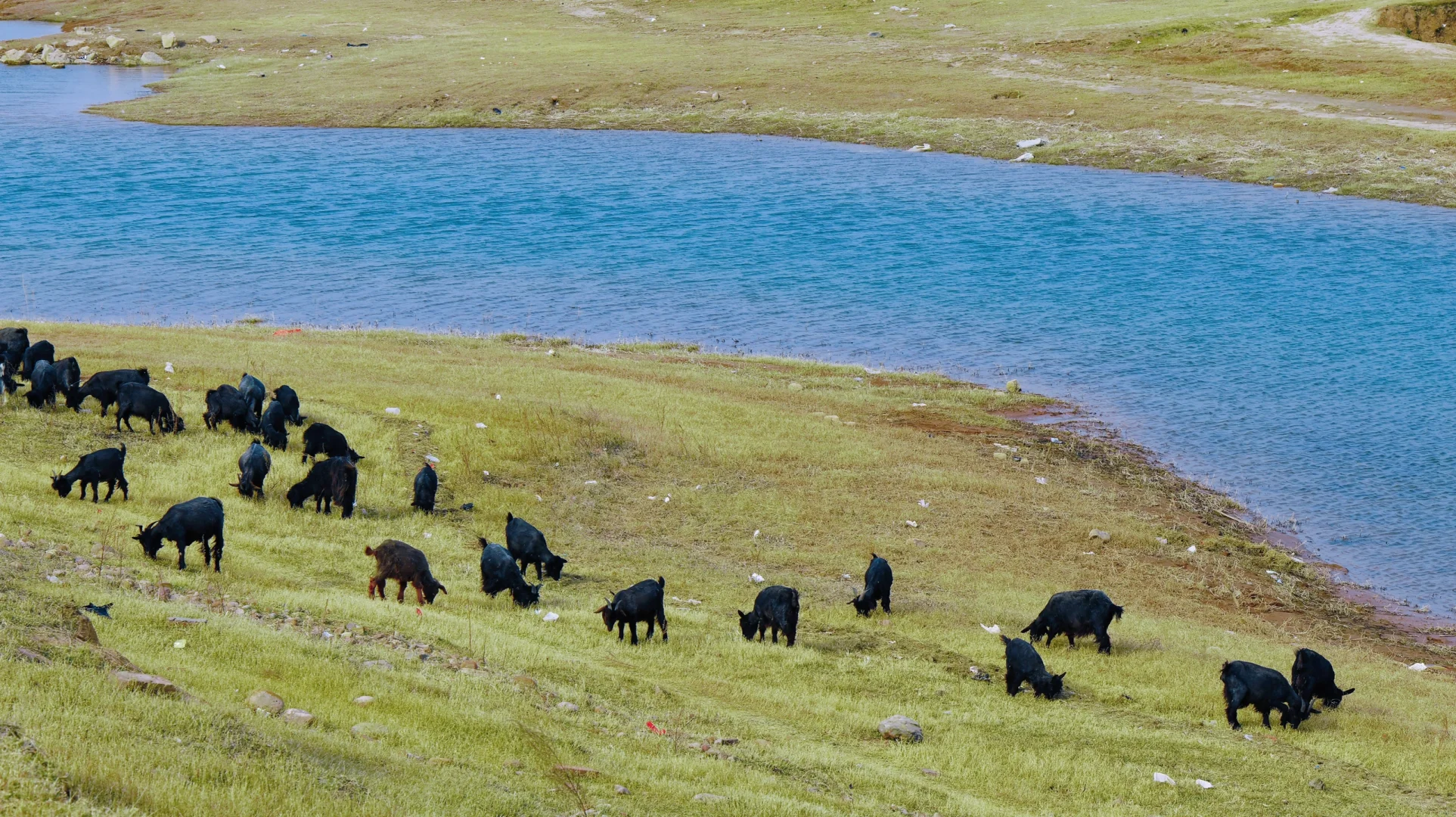 邯郸岳城水库“小洱海”春游露营攻略🌊