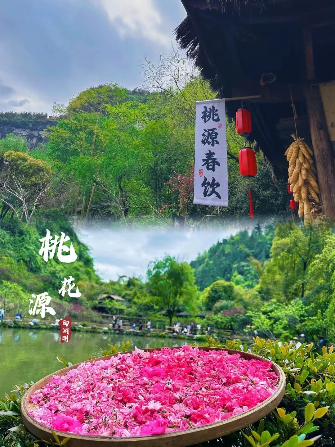 重庆｜桃花源🌸，这么玩可以吗❓