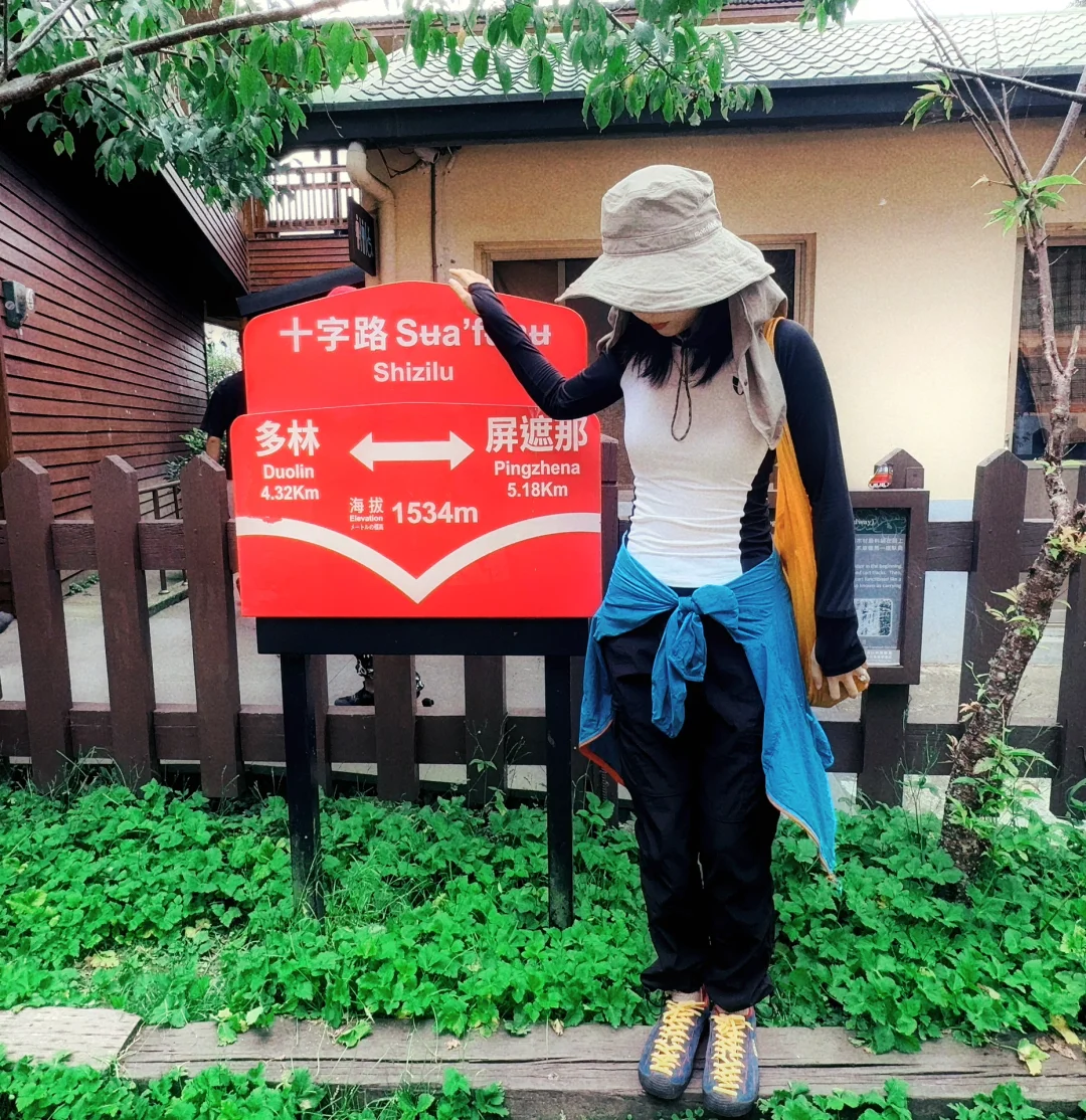 阿里山｜女生独行当日往返｜交通、景点、装备