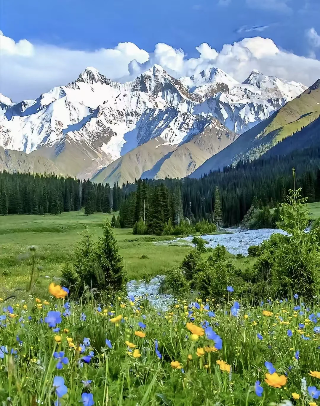 get《我的阿勒泰》同款秘境🔥 美到窒息❗️