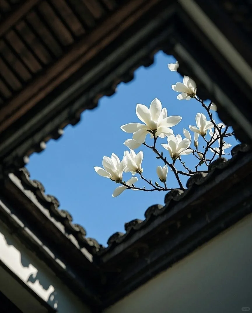 这大概就是老祖宗骨子里不灭的极致审美吧