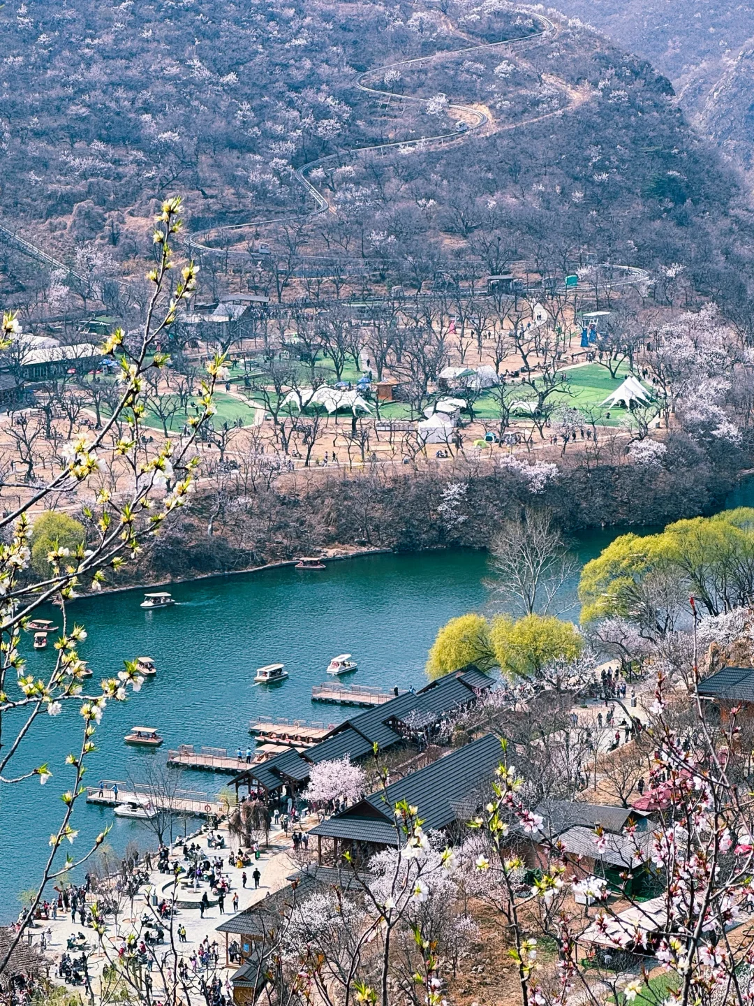 🌸北京最美长城-黄花水长城 🌸赏花攻略来咯