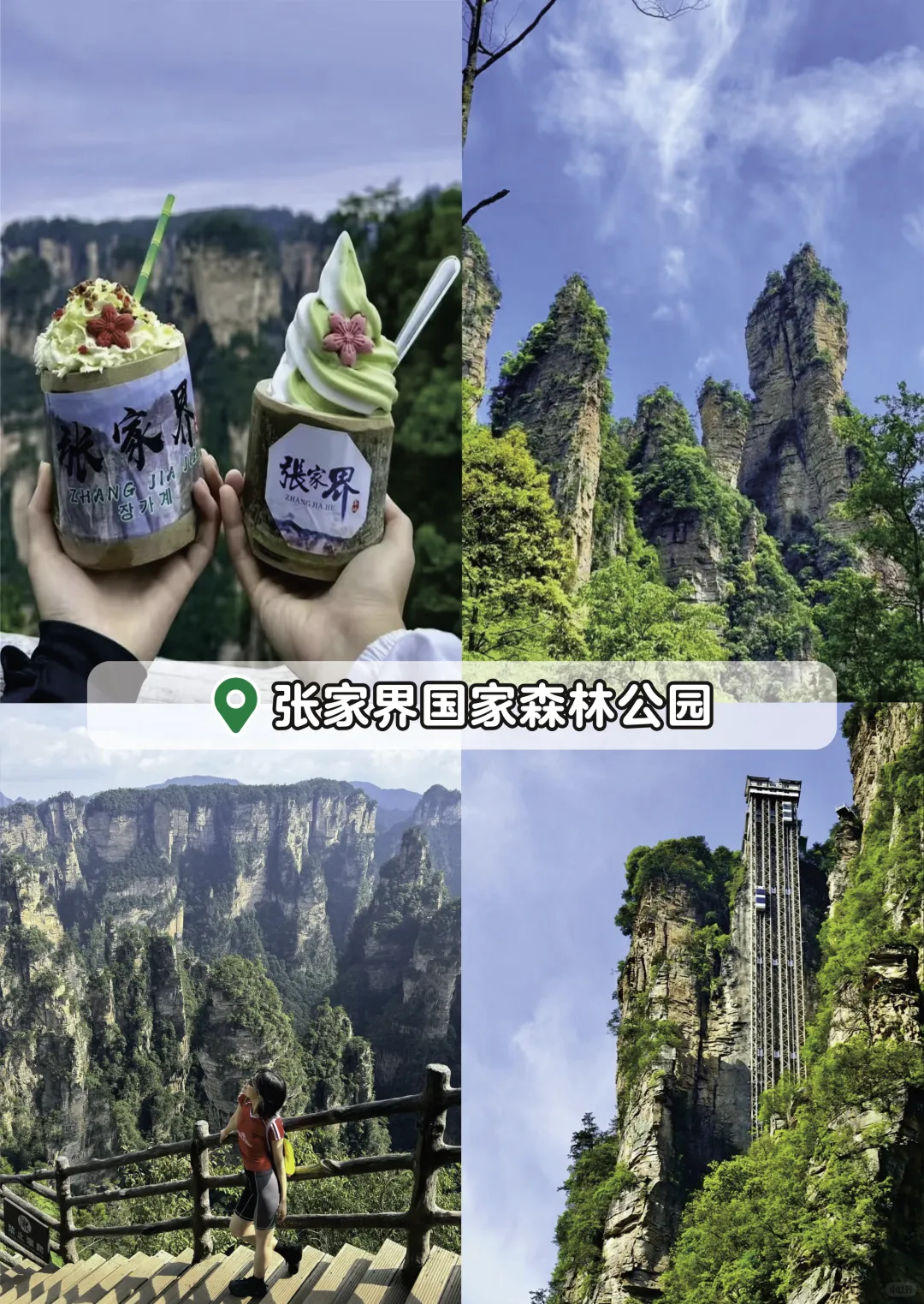 张家界旅游🌳五天四晚吃住行详细保姆级攻略