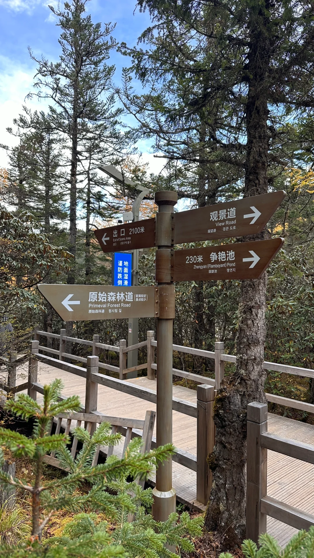 🇨🇳九寨黄龙景区🧎🏻‍♂️‍➡️已老实，别来！