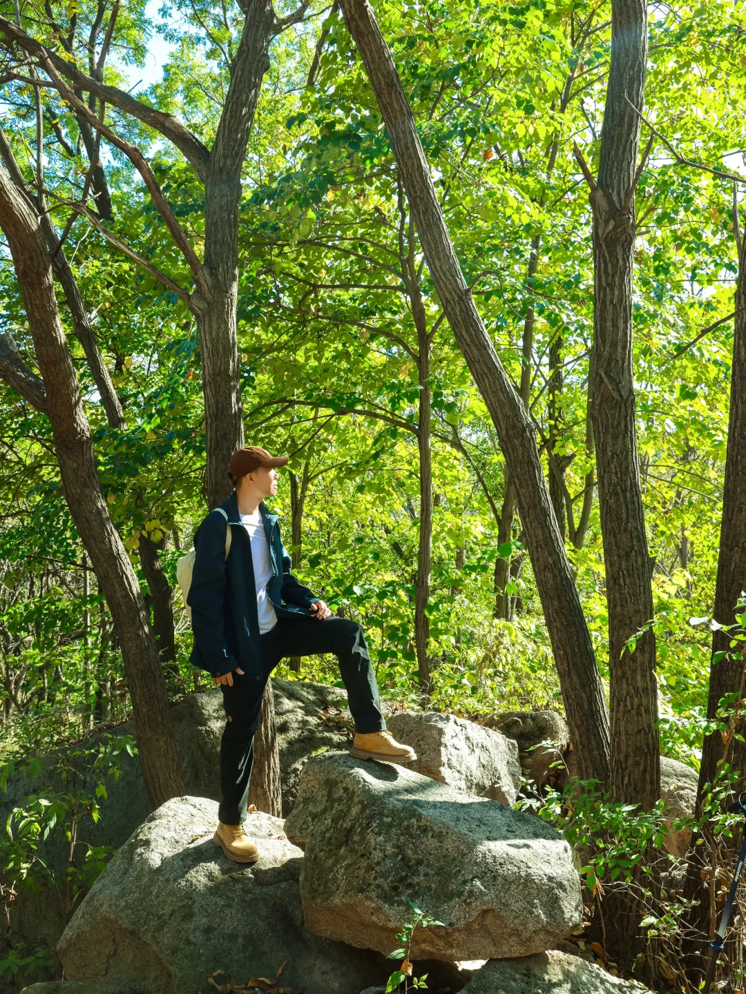 4.1云端步道正式开放❗️清明春游好去处