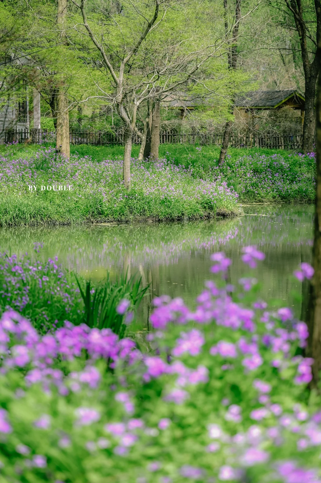 扬州，满足我所有的江南情结