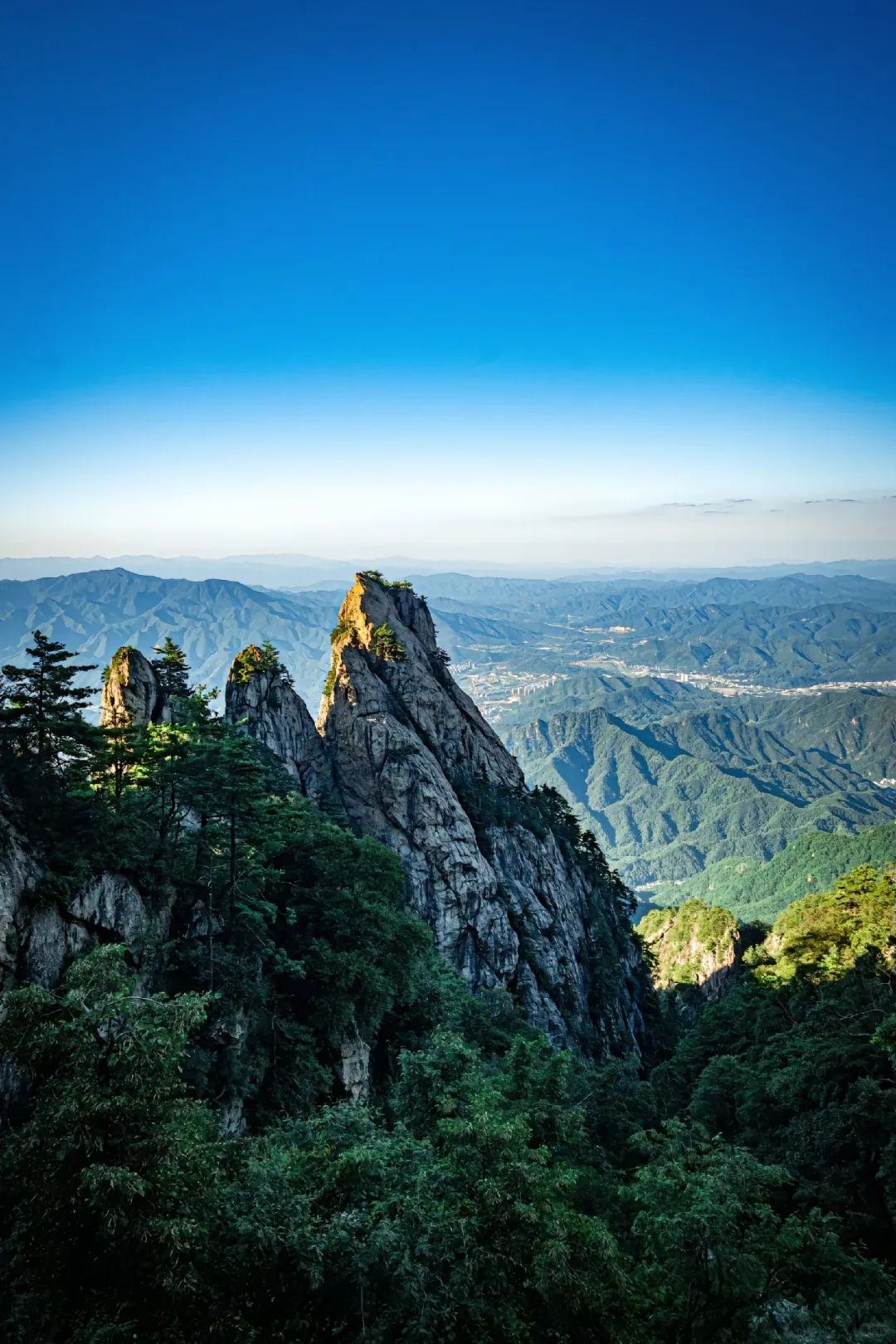 远赴人间惊鸿宴老君山三月踏春全攻略