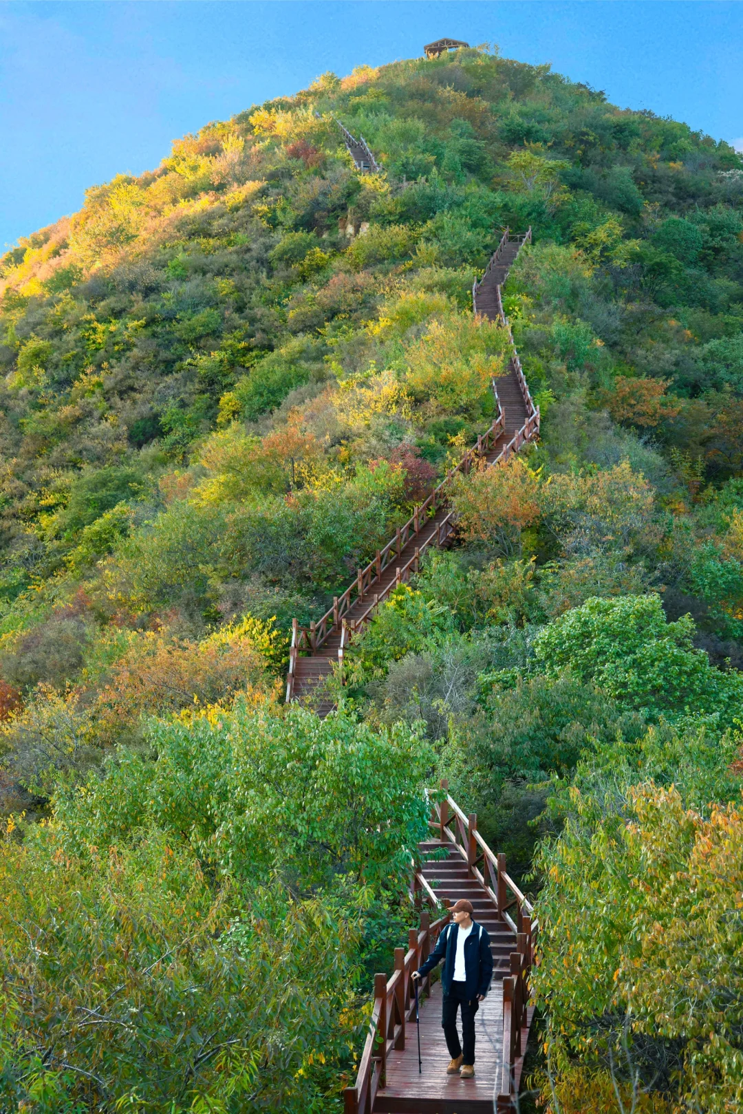 4.1云端步道正式开放❗️清明春游好去处