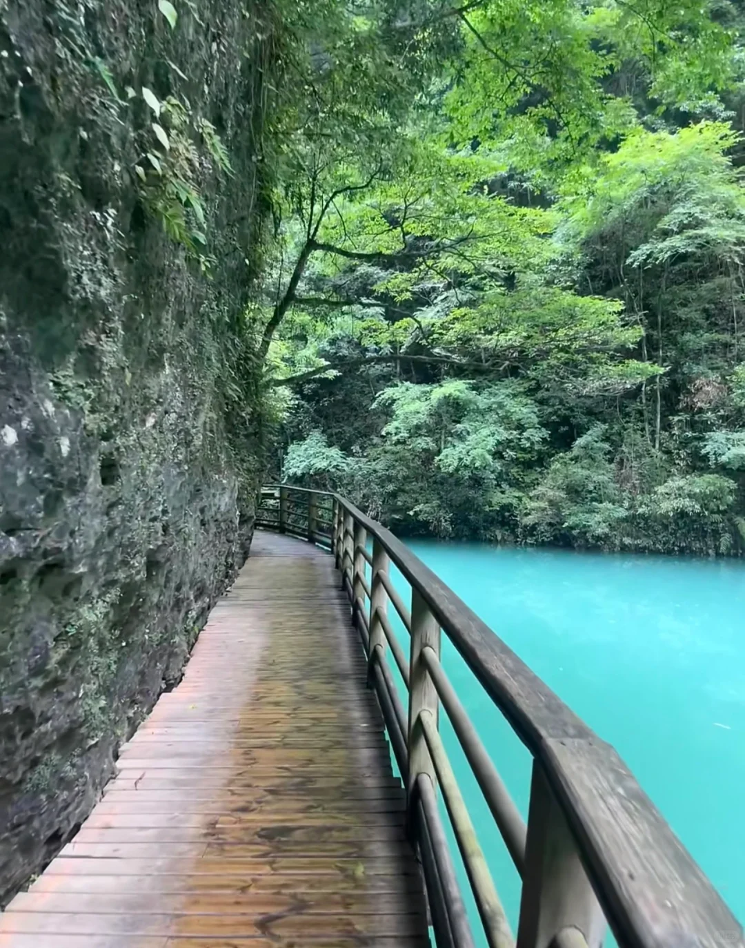 🌟【张家界游玩全攻略】🌟