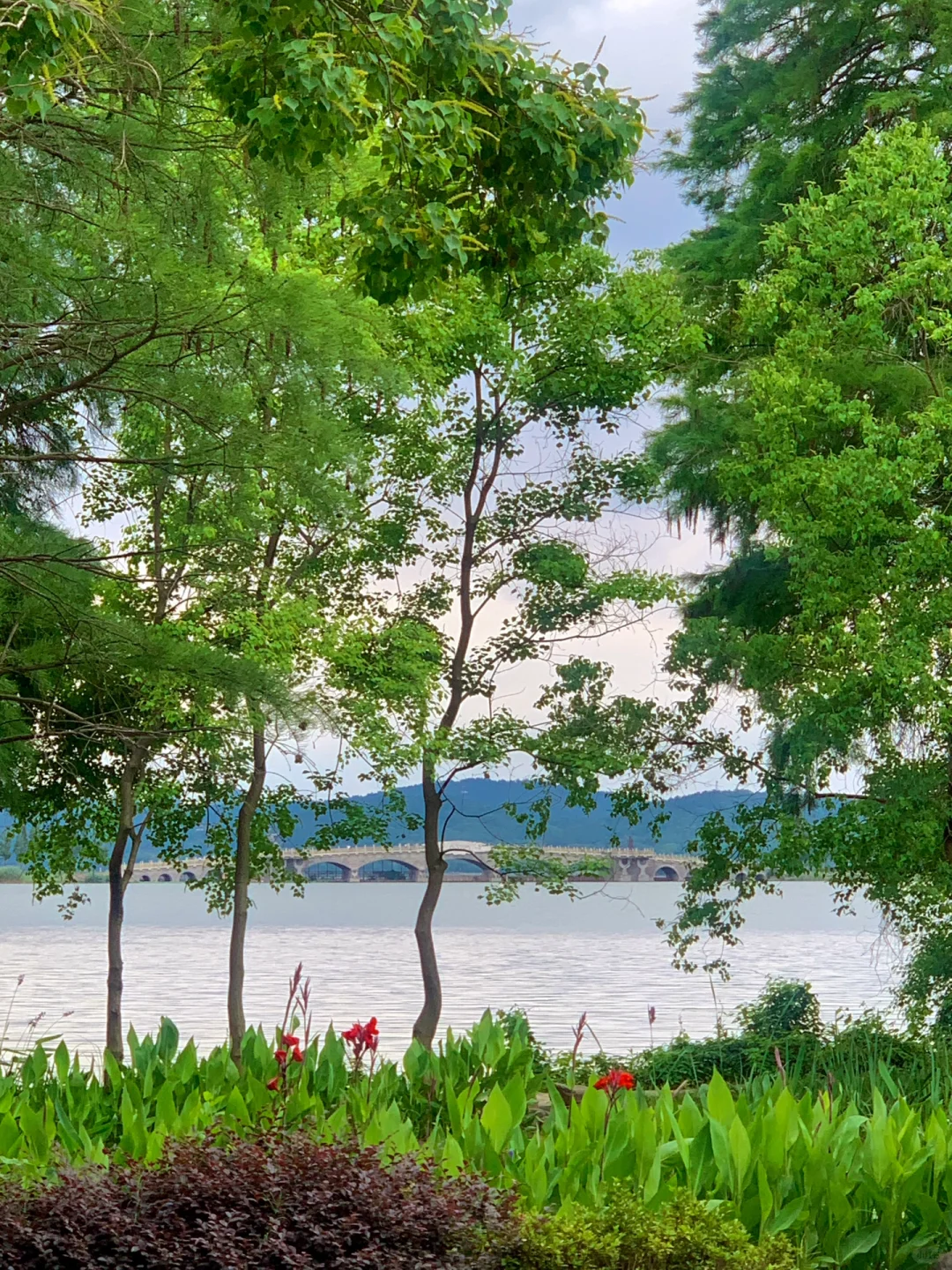 在武汉花的最值的13块钱🌲……