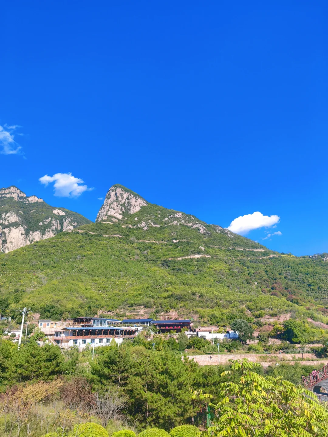 邯郸‖免费的稻田画也太美了吧！