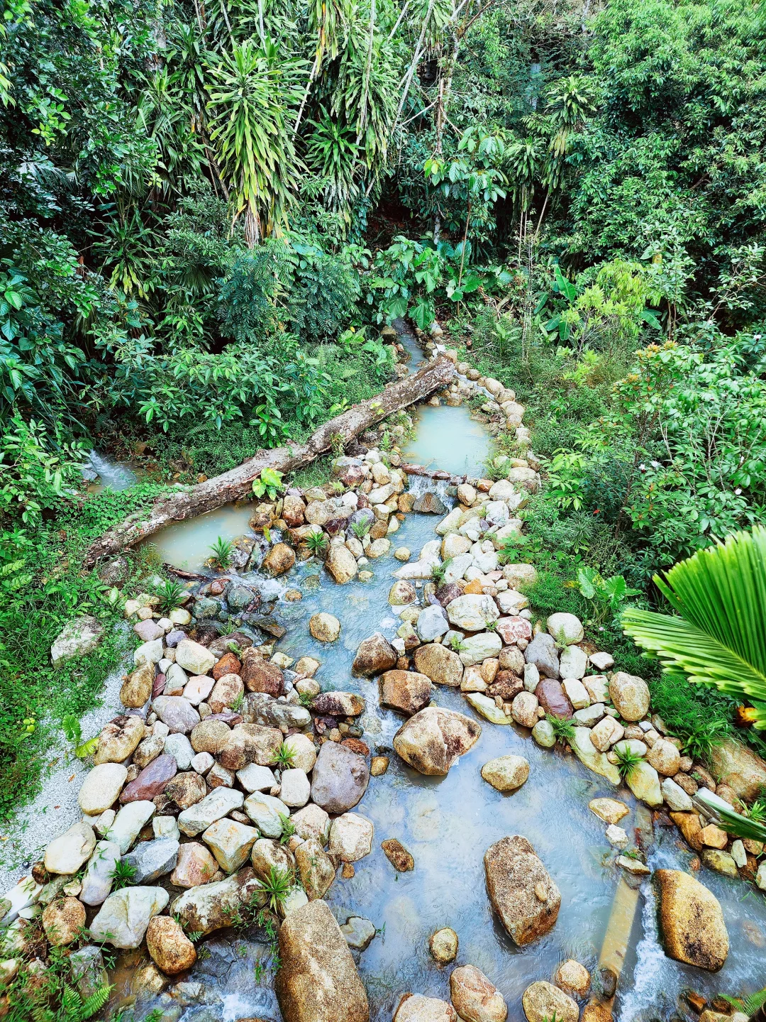 新加坡全新景点｜徒步探险！也太好拍了吧！