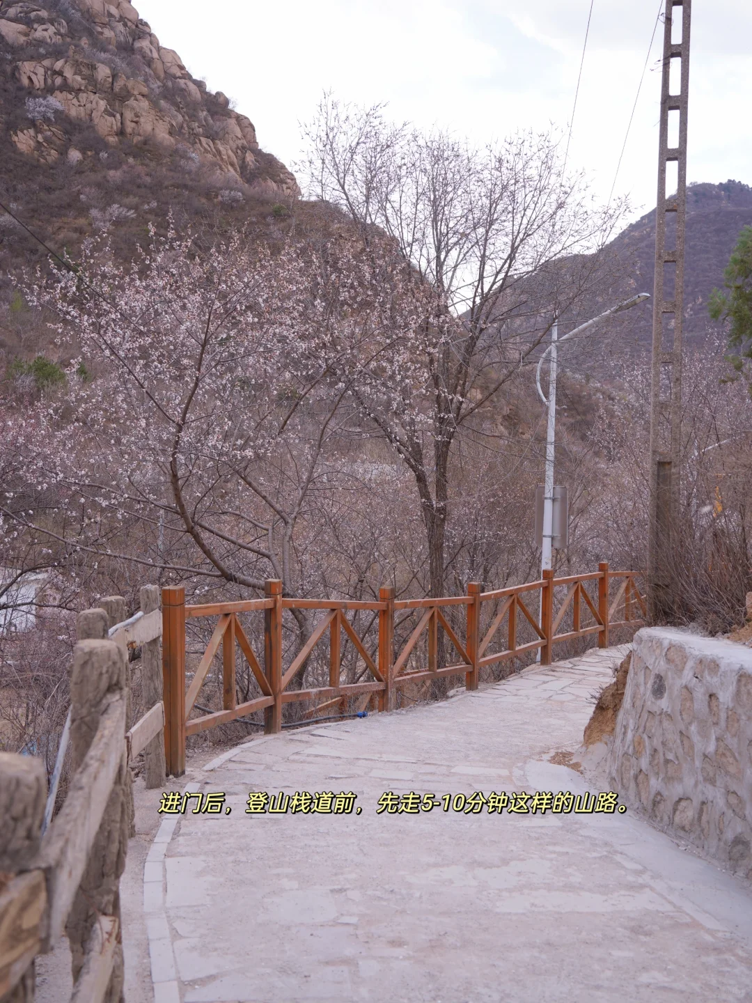 4.1实拍！京郊新开超美赏花栈道，附攻略