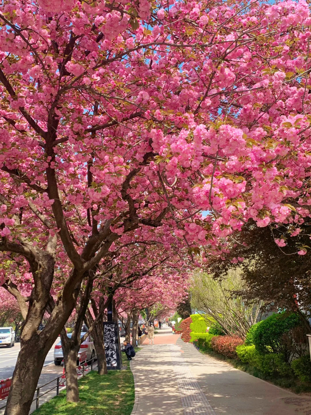 接下来！西安春天是这样的🌷含18个打卡地