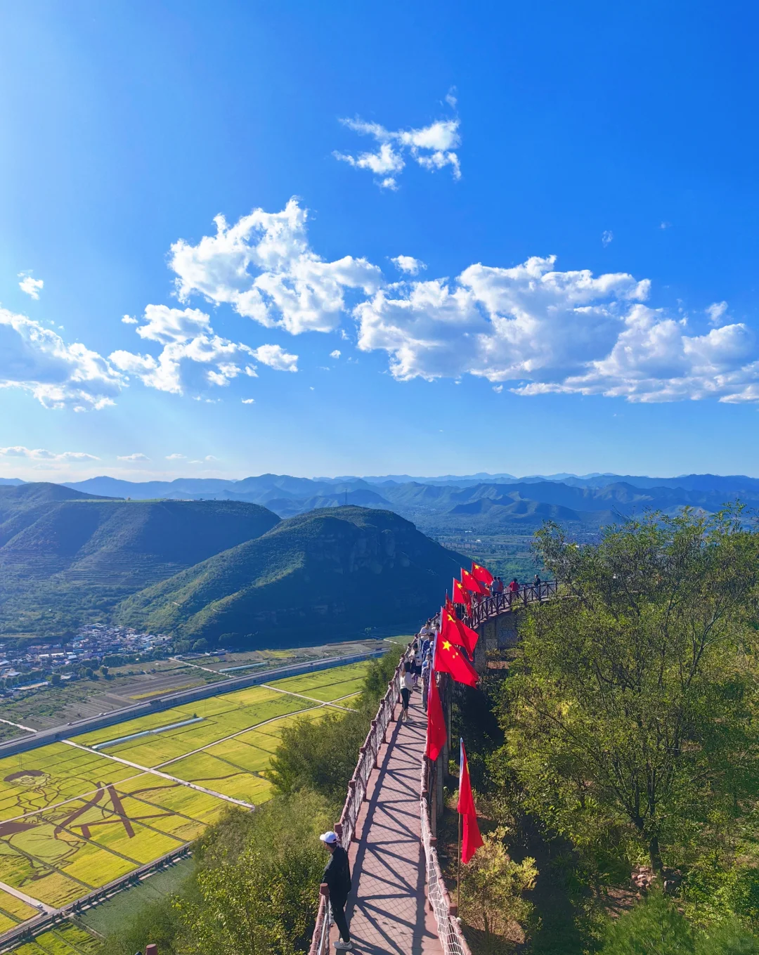 邯郸‖免费的稻田画也太美了吧！