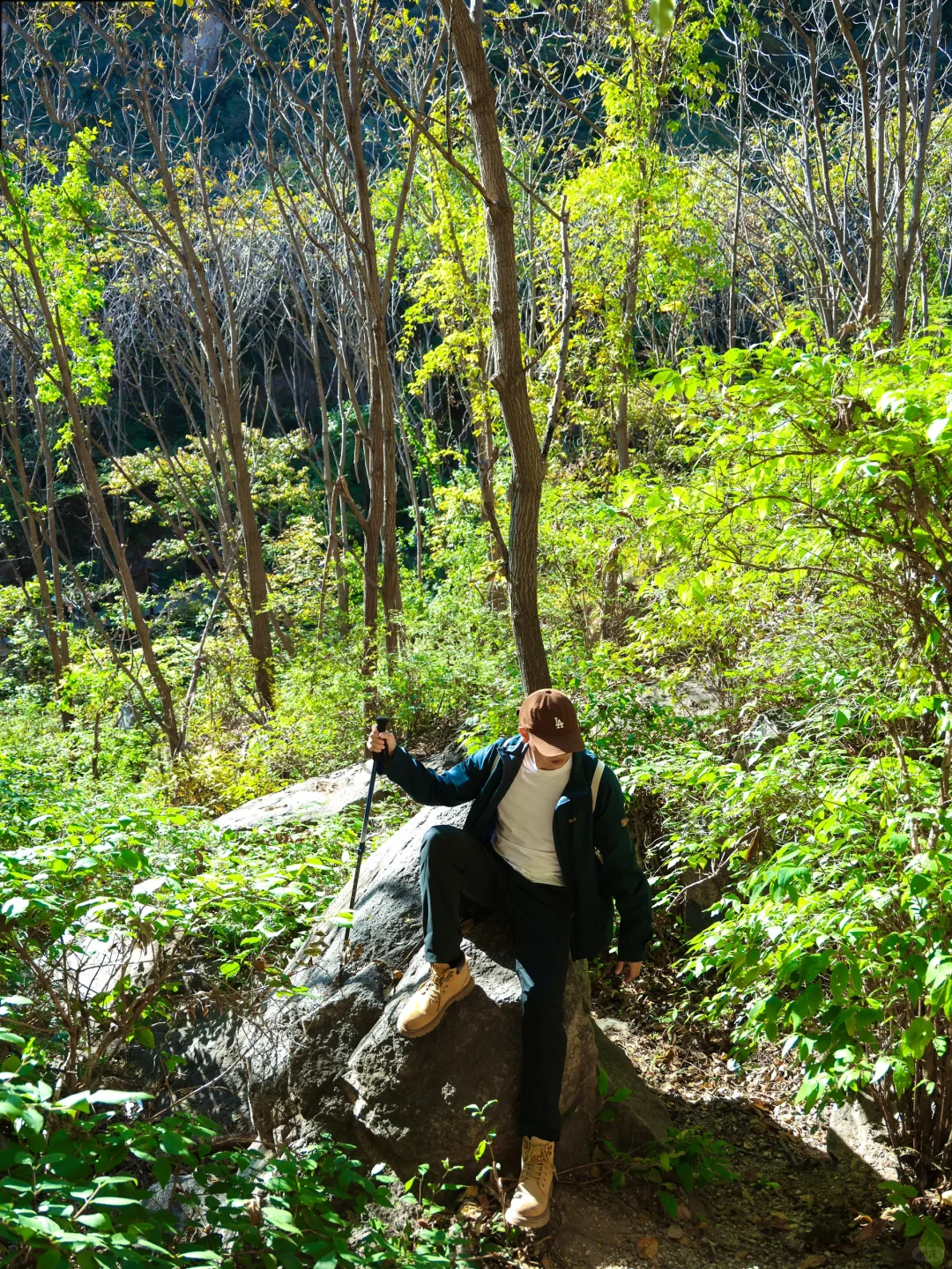 4.1云端步道正式开放❗️清明春游好去处