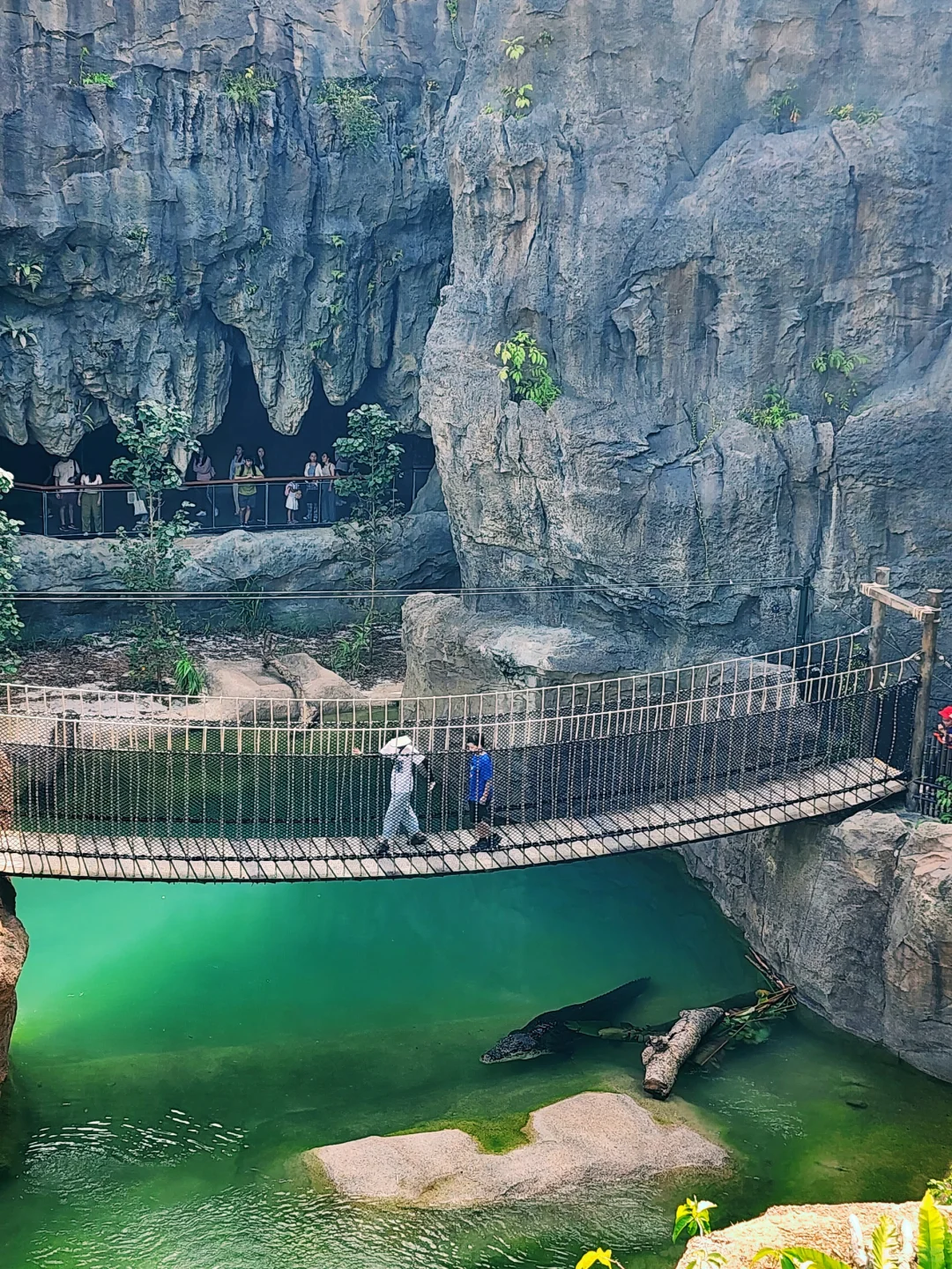 新加坡全新景点｜徒步探险！也太好拍了吧！