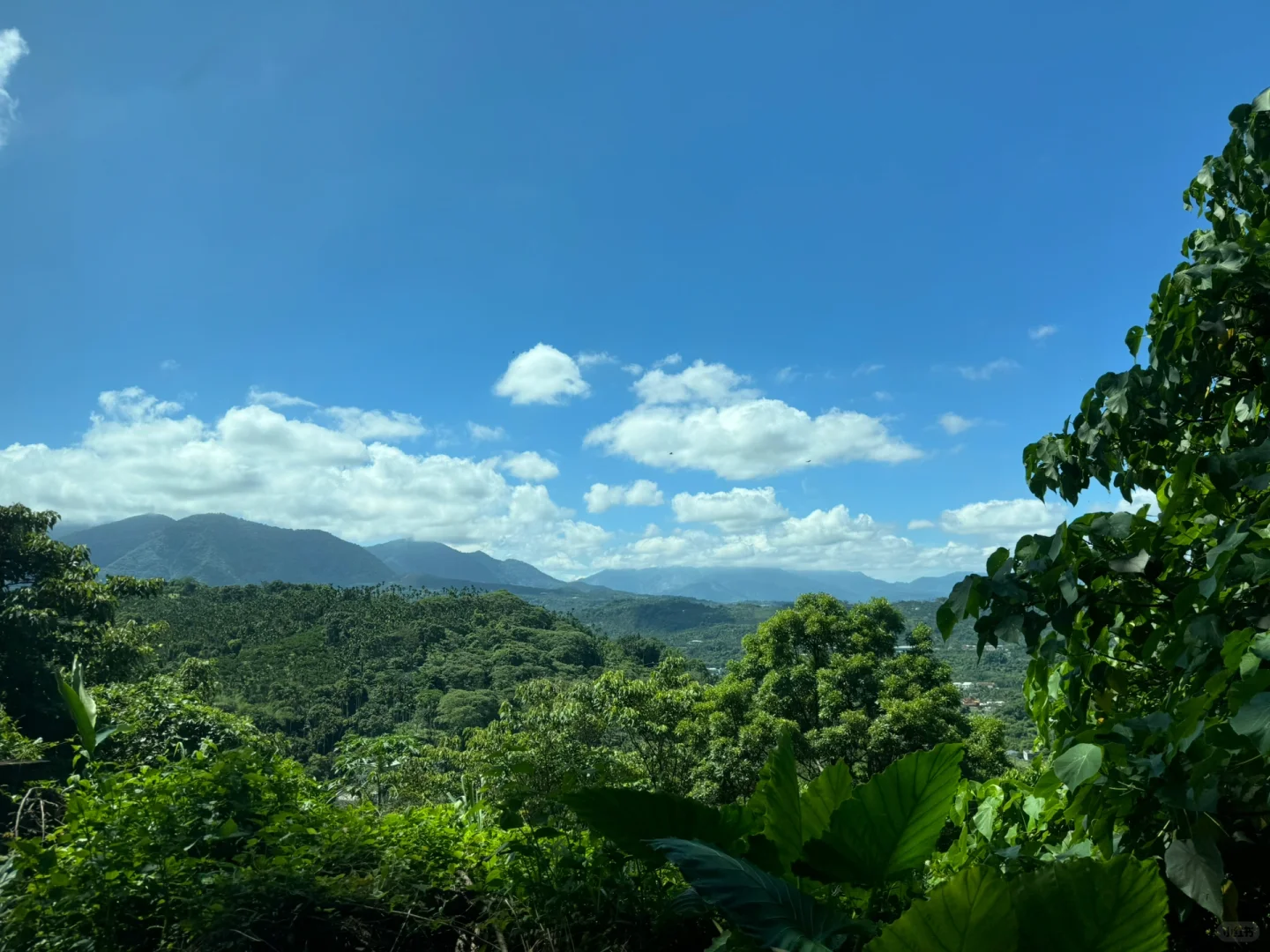 阿里山｜女生独行当日往返｜交通、景点、装备
