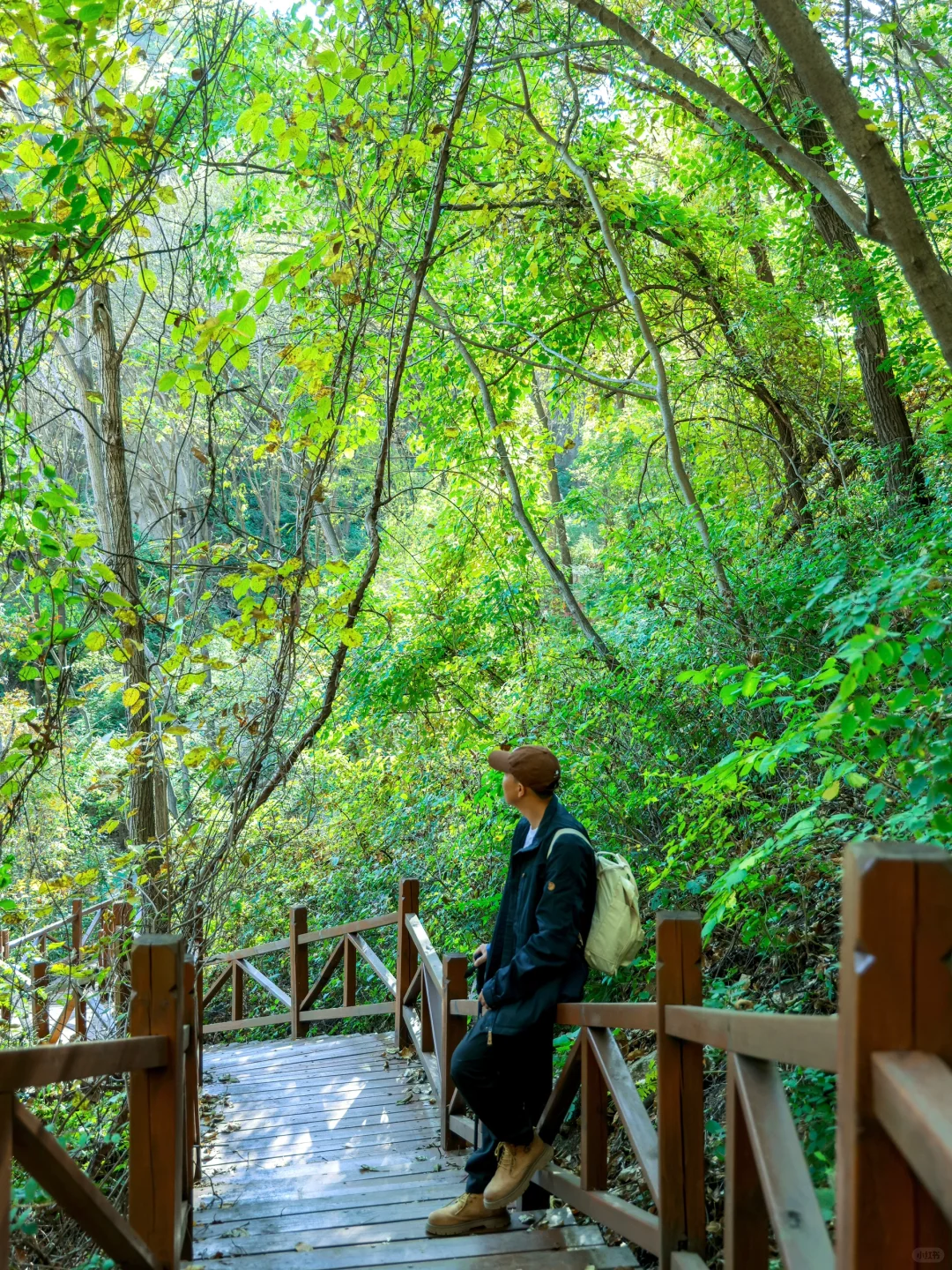 4.1云端步道正式开放❗️清明春游好去处
