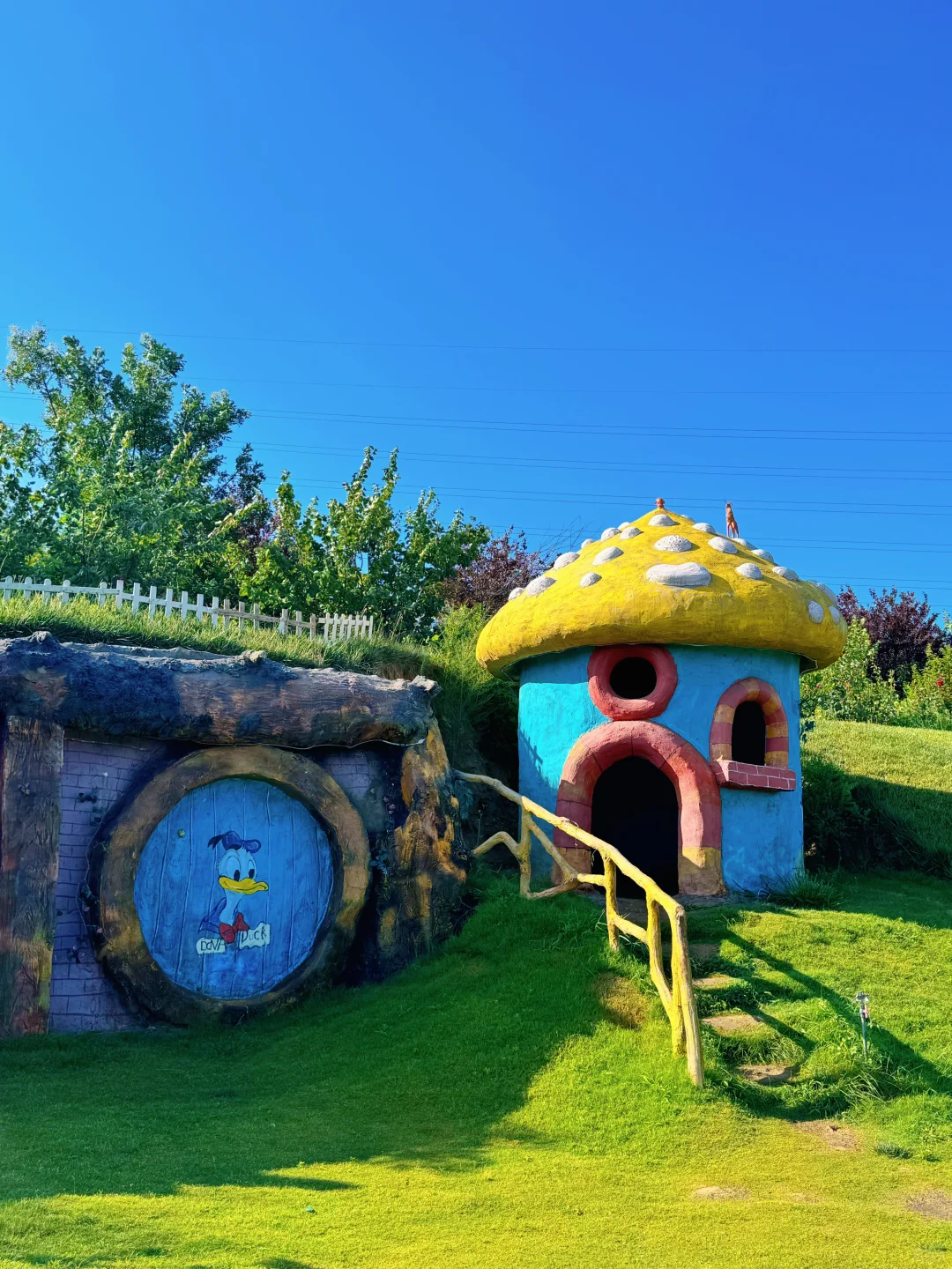 这么近那么美 周末到河北 邢台抱香谷等你来