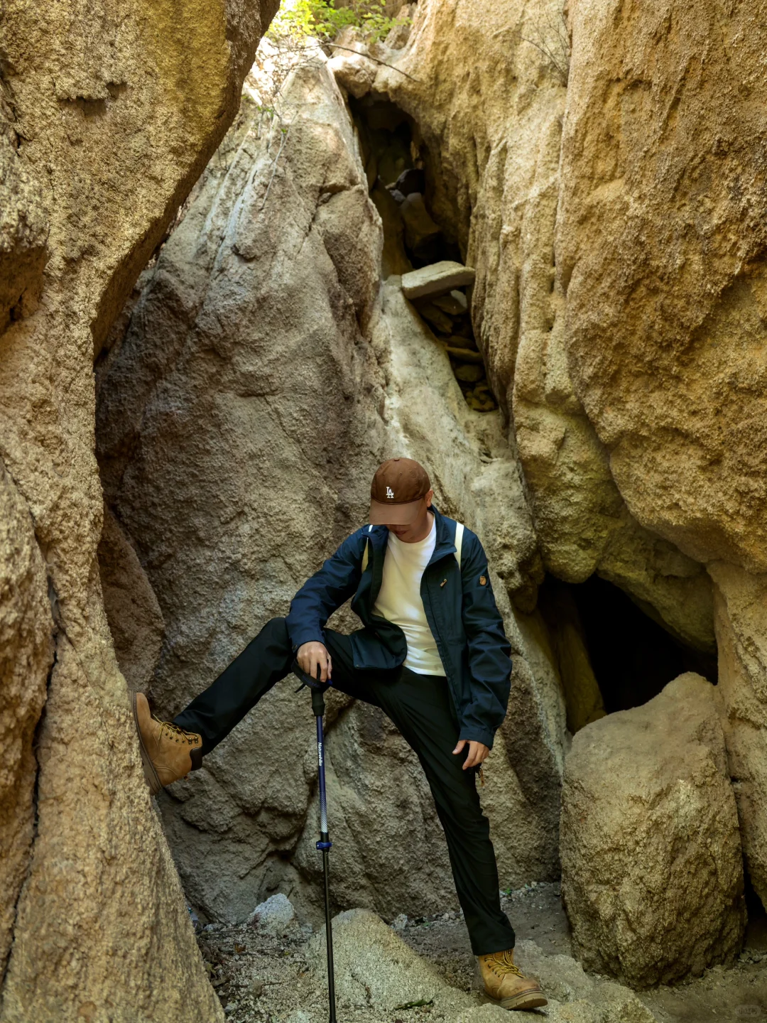 4.1云端步道正式开放❗️清明春游好去处