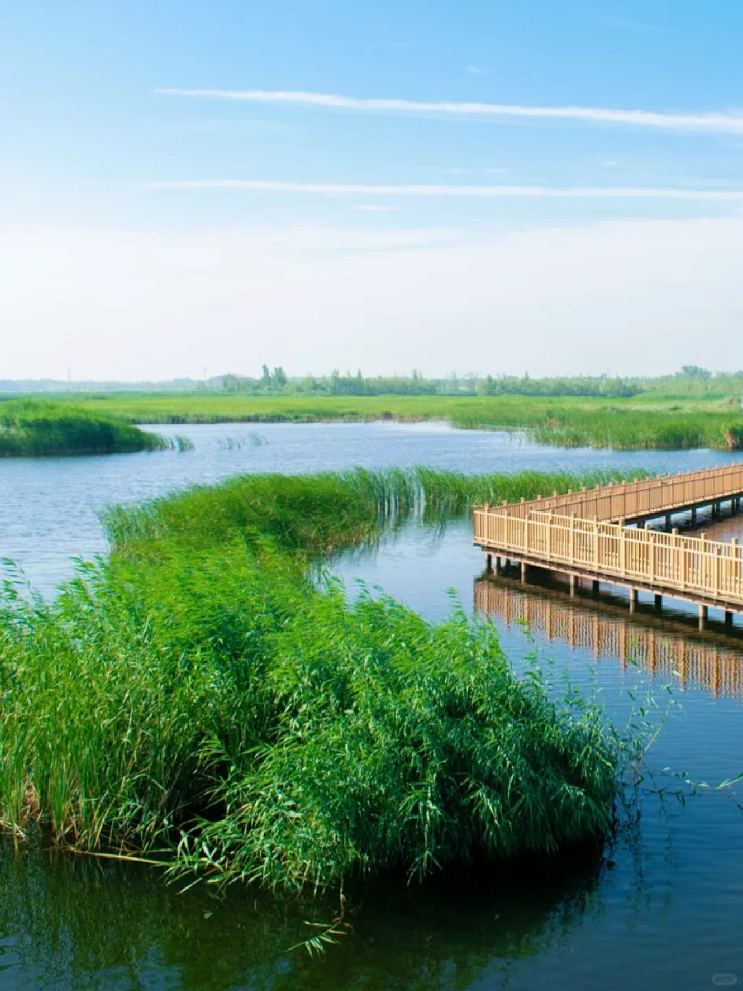 【冀】→ 保定·白洋淀