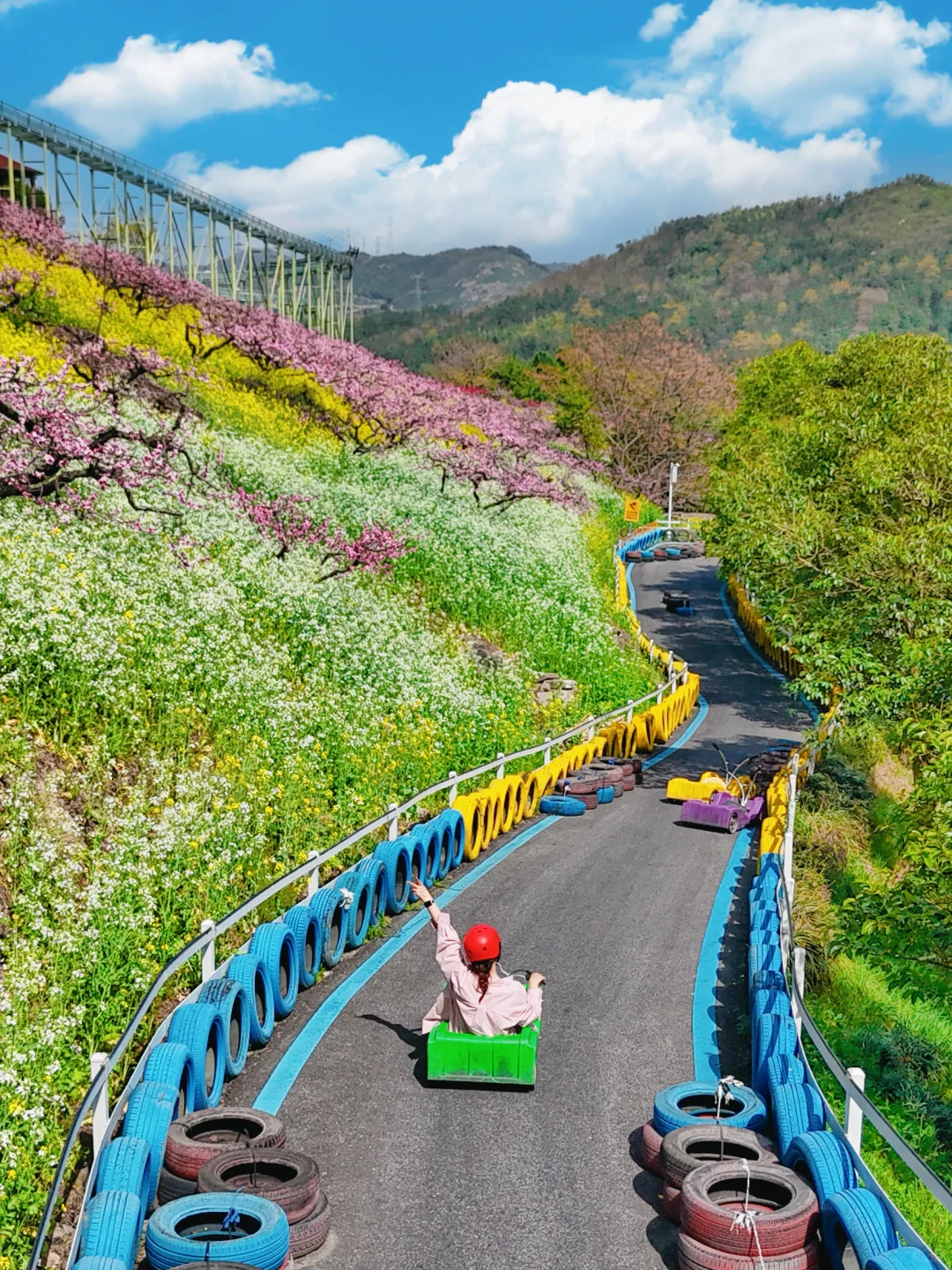 杭州出发1小时，坐上开往春天的花海小火车