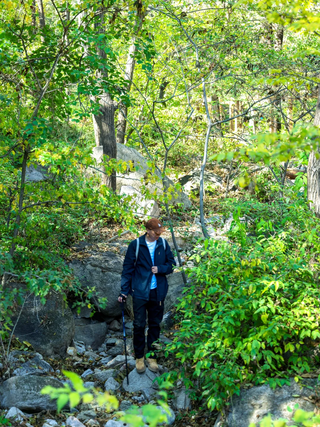 4.1云端步道正式开放❗️清明春游好去处