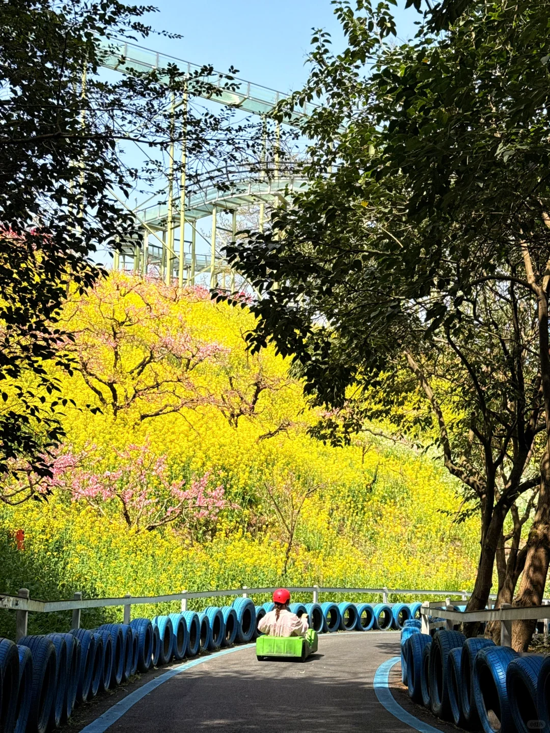 杭州出发1小时，坐上开往春天的花海小火车