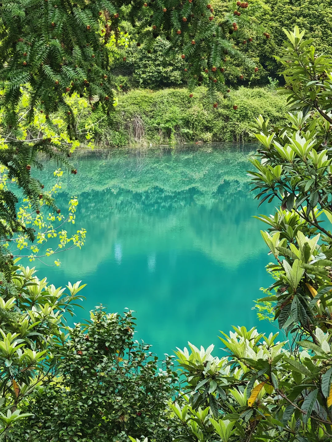 周末徒步|旺山亲子迷你环线，置身绿野仙踪