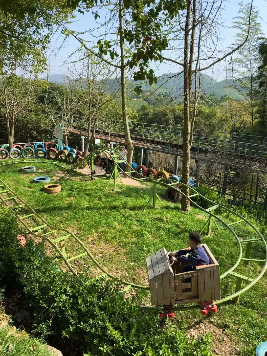 杭州出发1小时，坐上开往春天的花海小火车