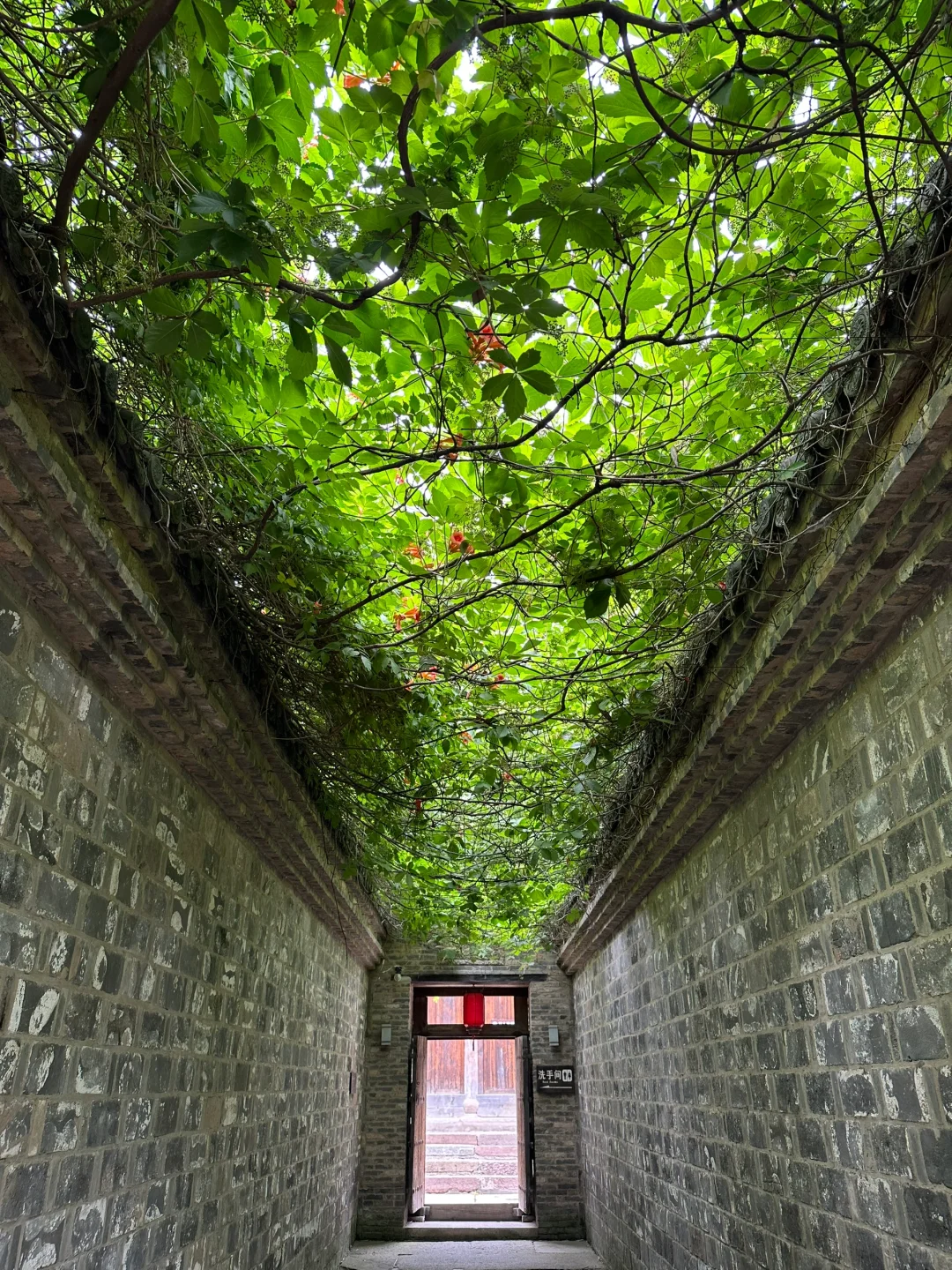 阜阳📍溜达好去处～