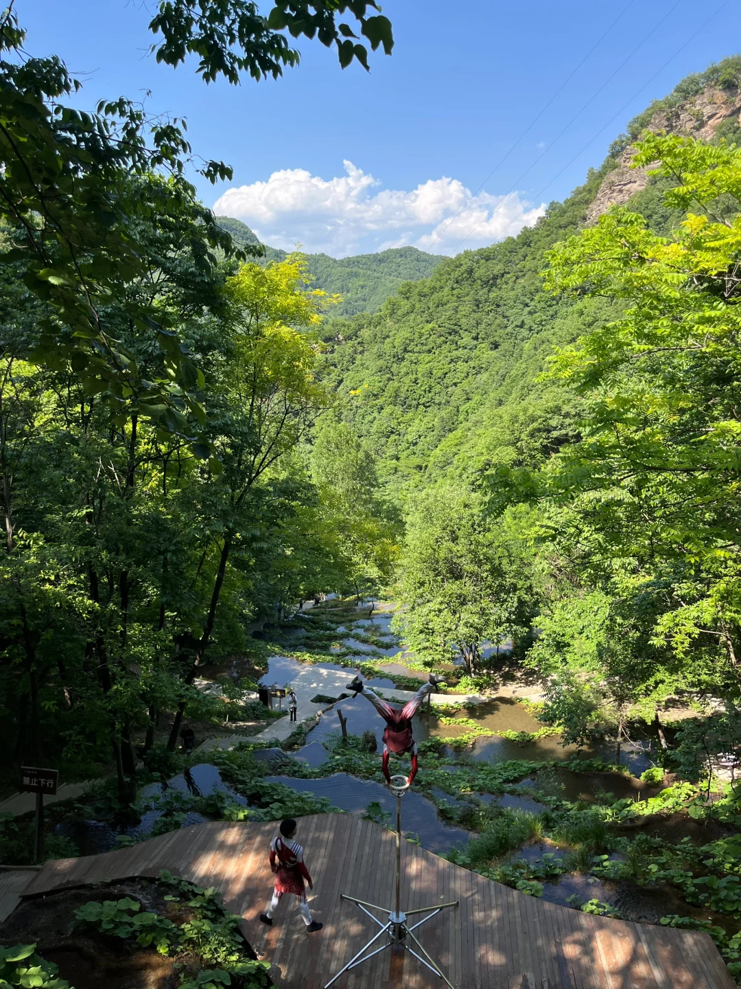 栾川！！让我好像走进了动漫里！