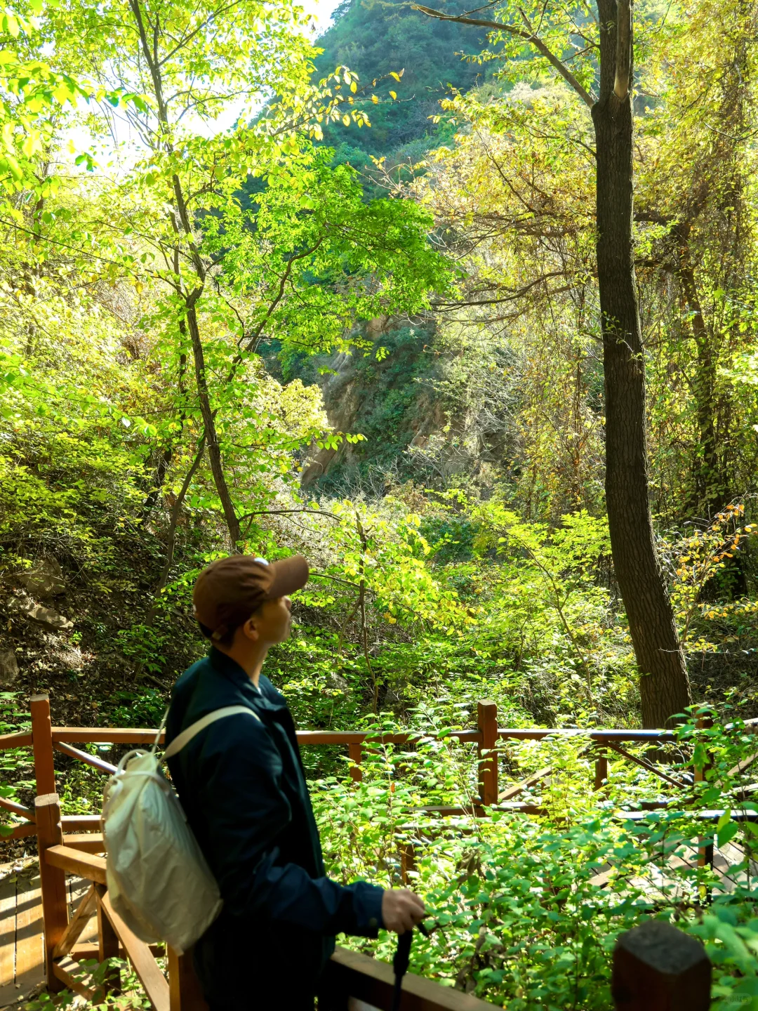 4.1云端步道正式开放❗️清明春游好去处